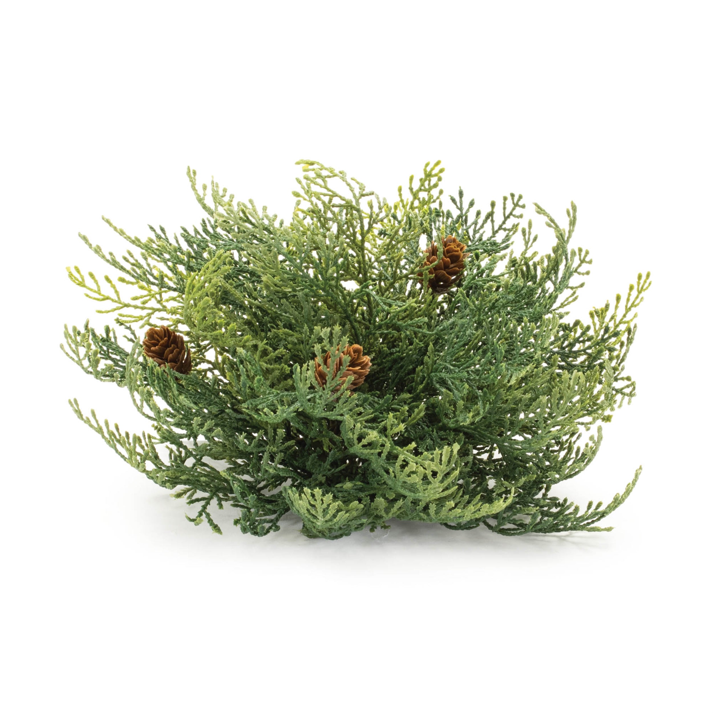 Cedar Half Orb (Set of 2) 10"D x 7"H Plastic