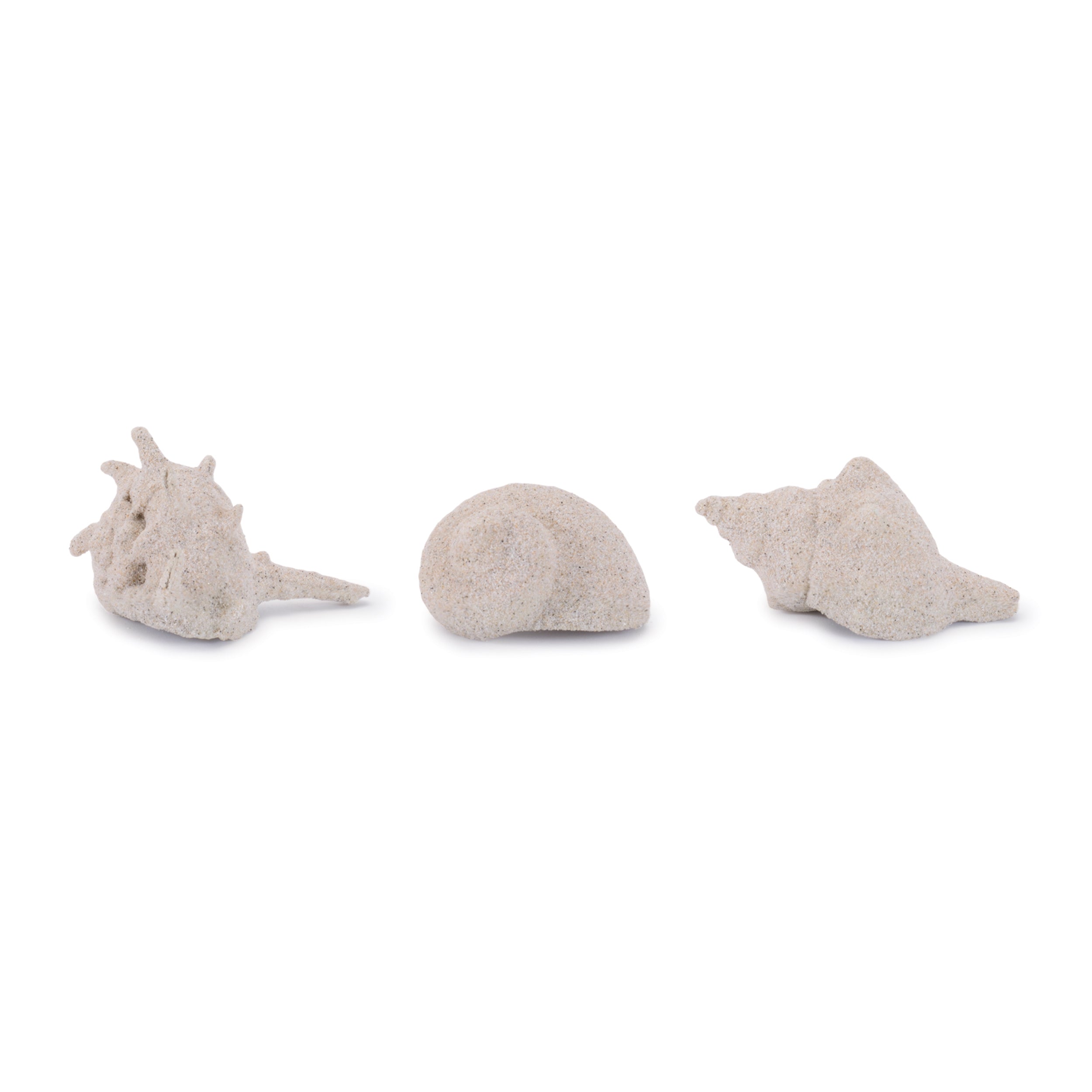 Shell (Set of 12) 2"H, 2.5"H, 3"H Resin