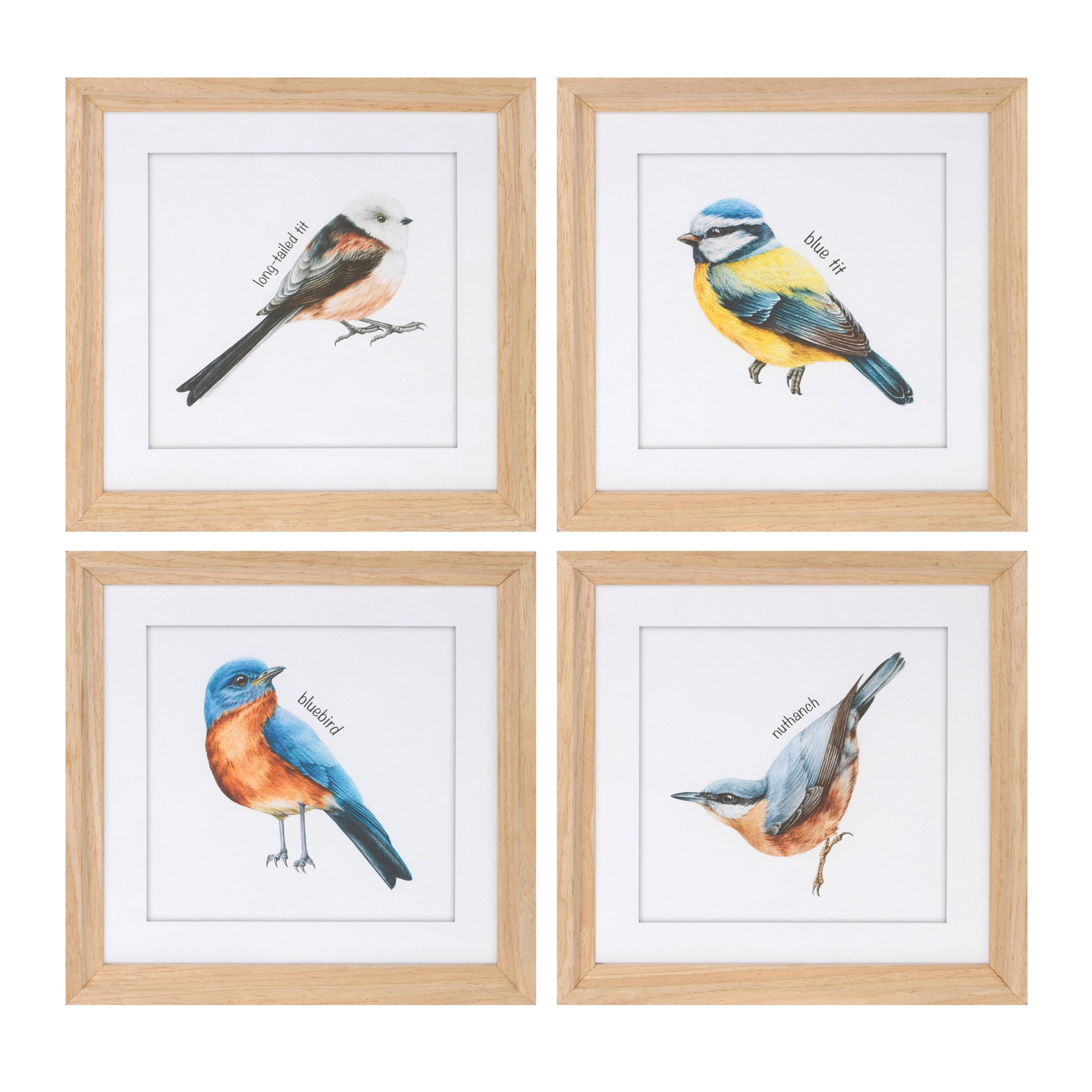 Framed Bird Print (4 Asst) 9.75”SQ Wood/Glass/Paper