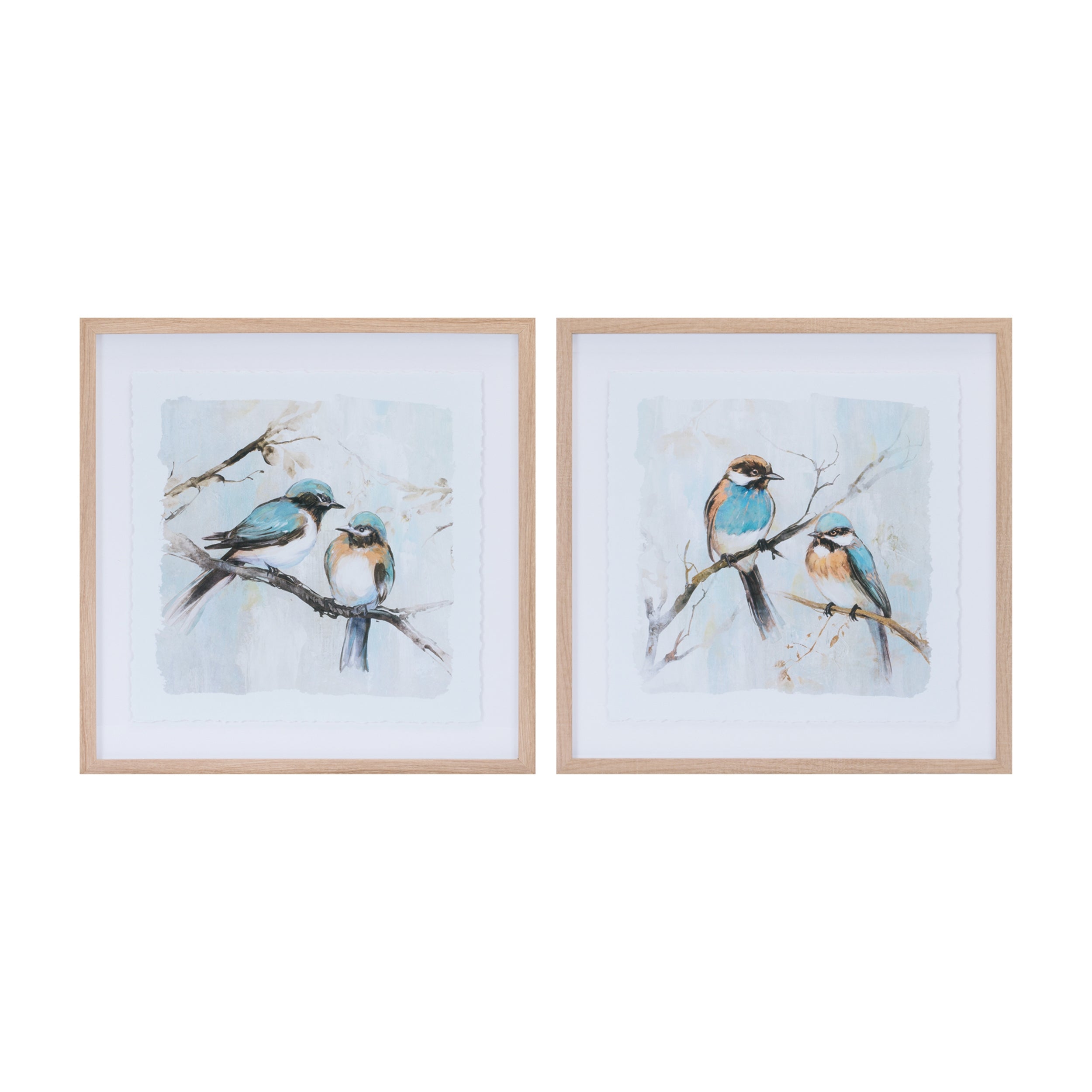 Framed Bird Print (2 Asst) 21”SQ /Paper
