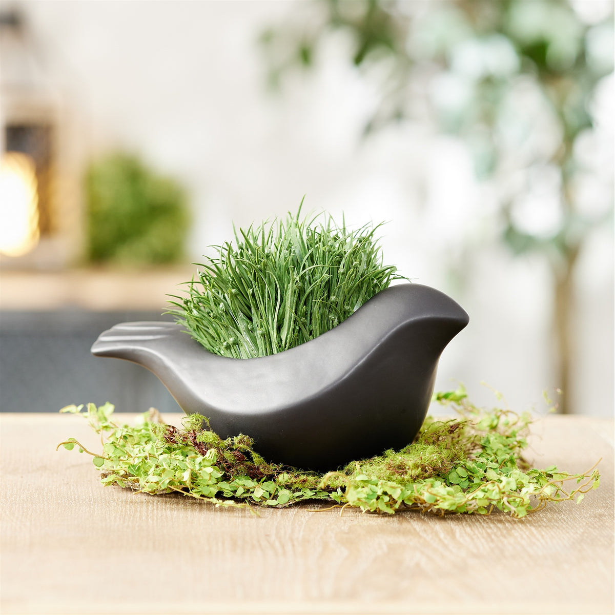 Black Ceramic Bird Containers (S/2)