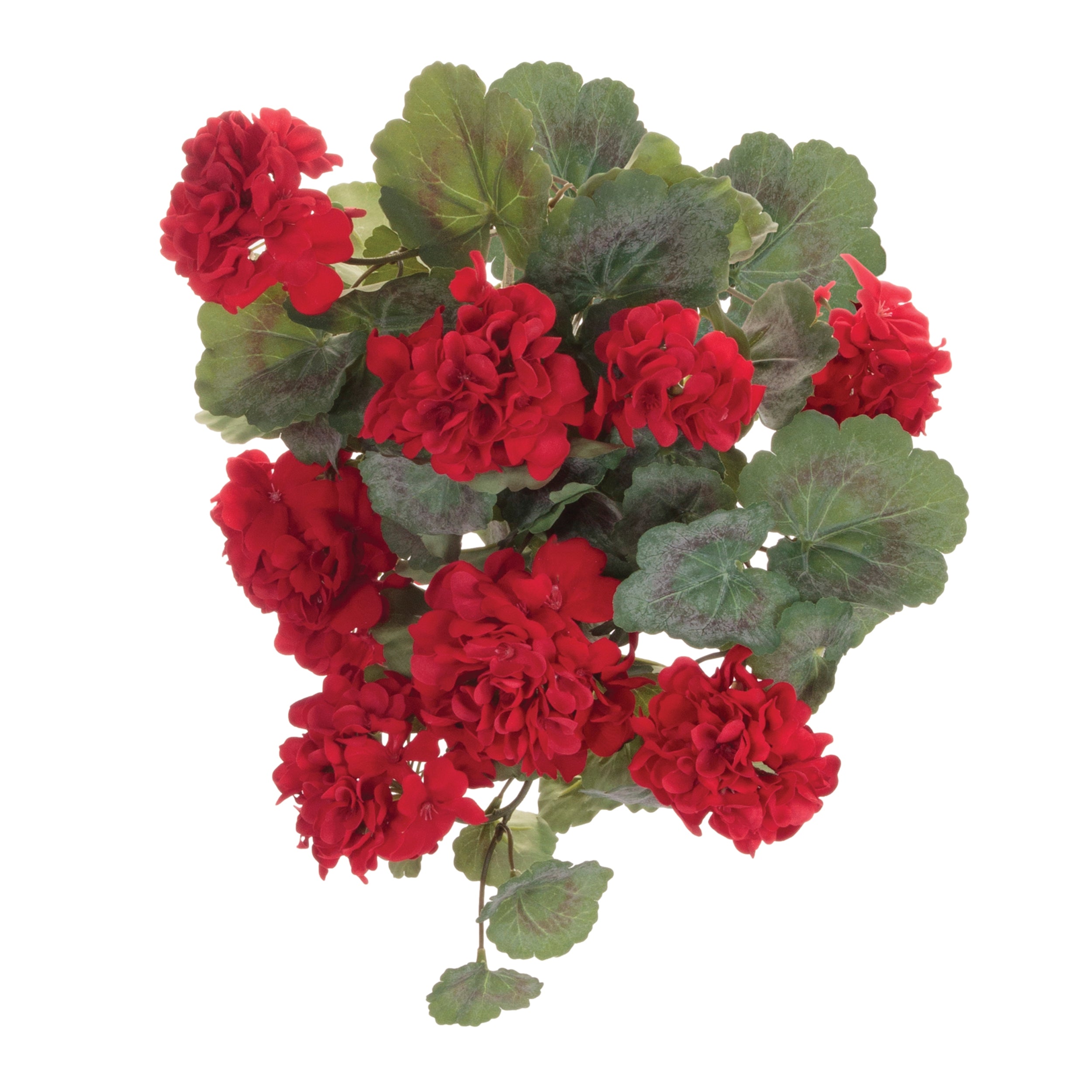Geranium Bush 21.5”H Polyester