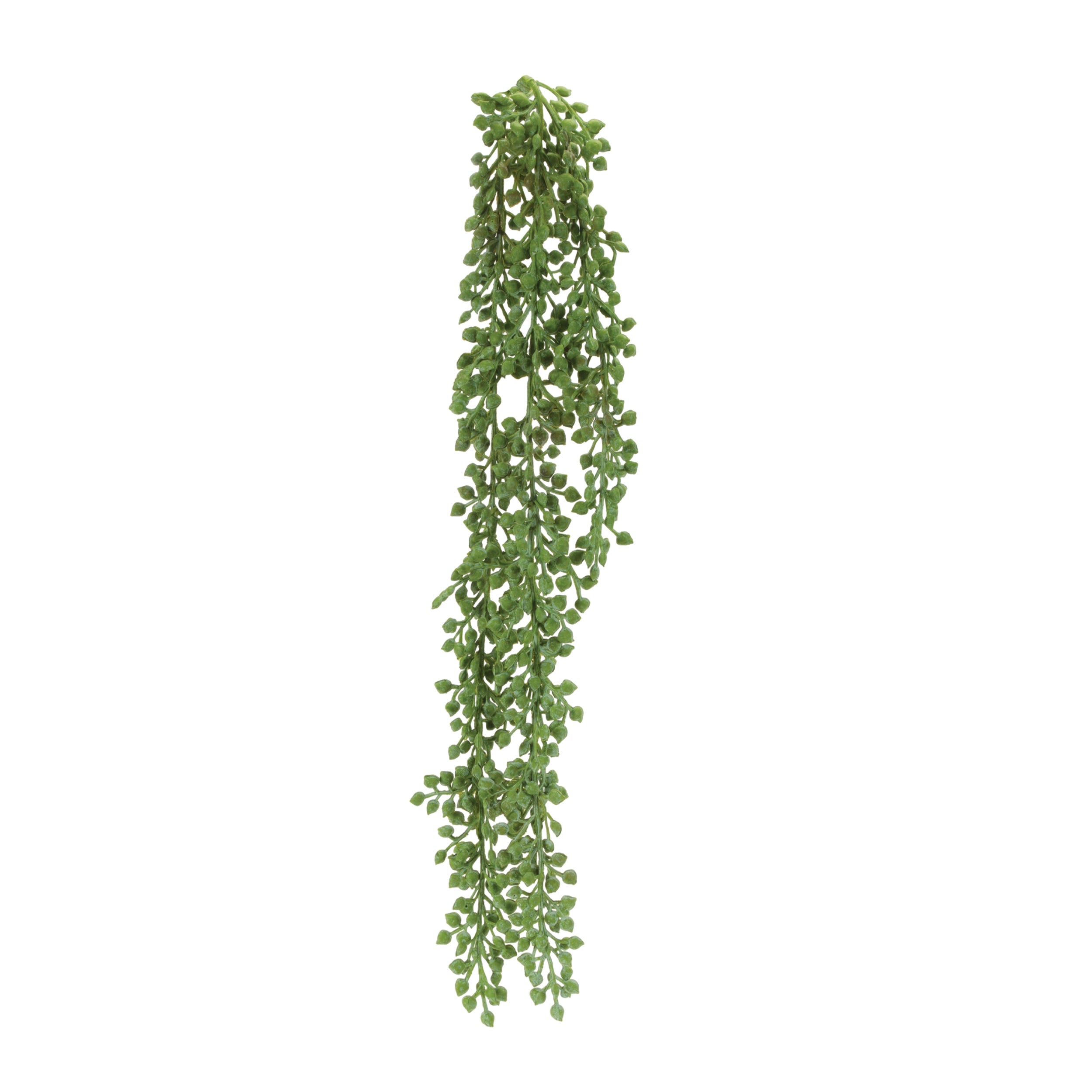 Succulent Stem 21”H