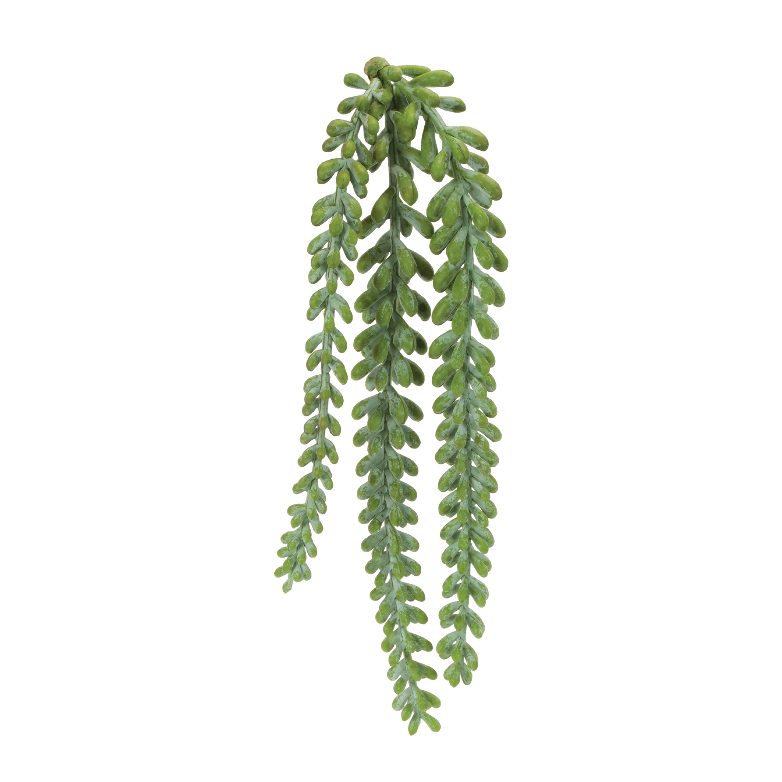 Succulent Stem 14.5”H