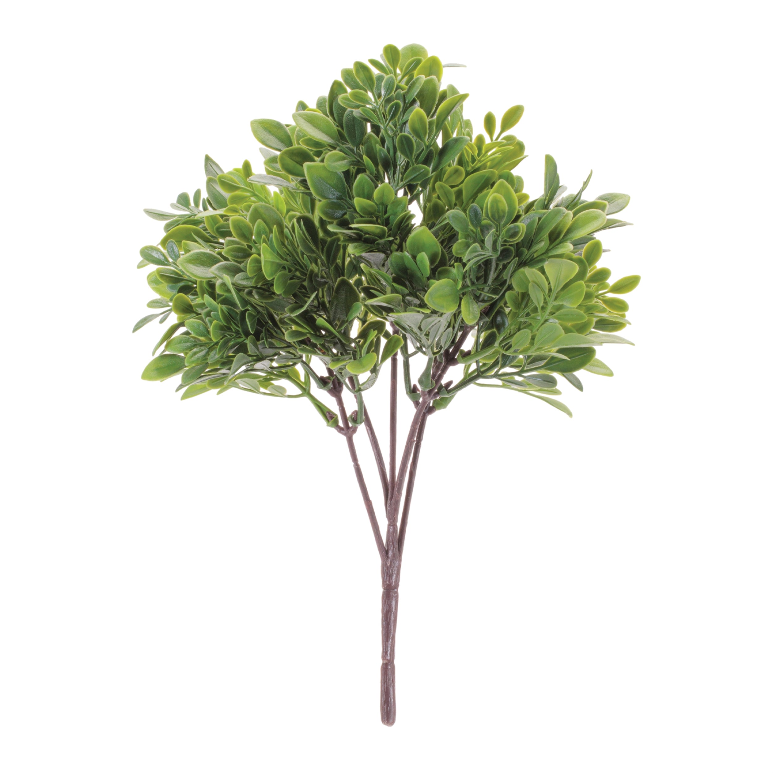 Boxwood Bush 11.5”H