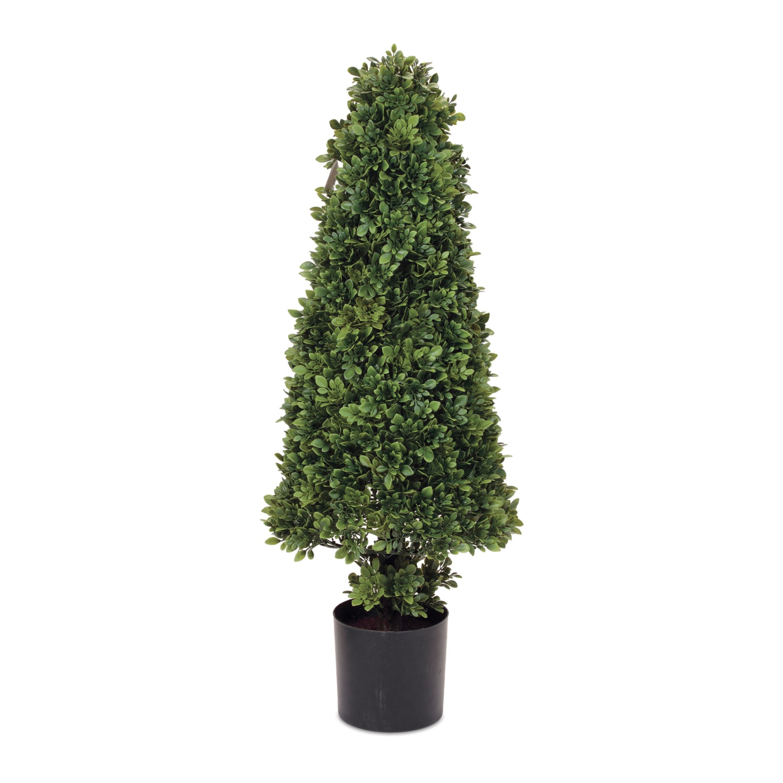 Potted Boxwood Cone Topiary 38”H
