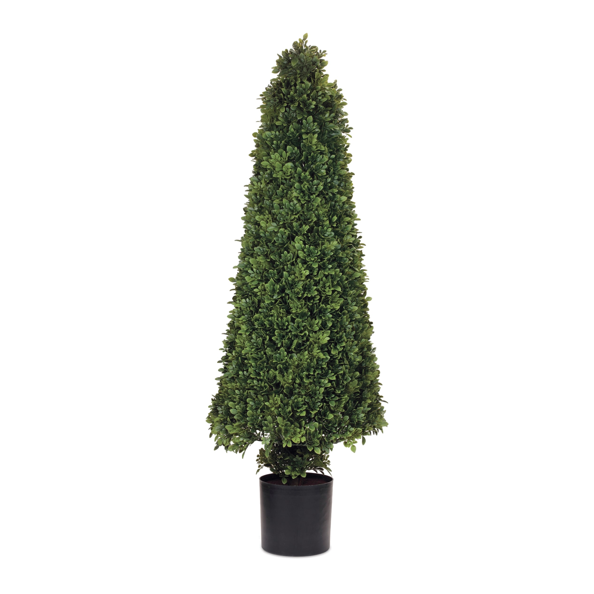 Potted Boxwood Cone Topiary 51”H Iron