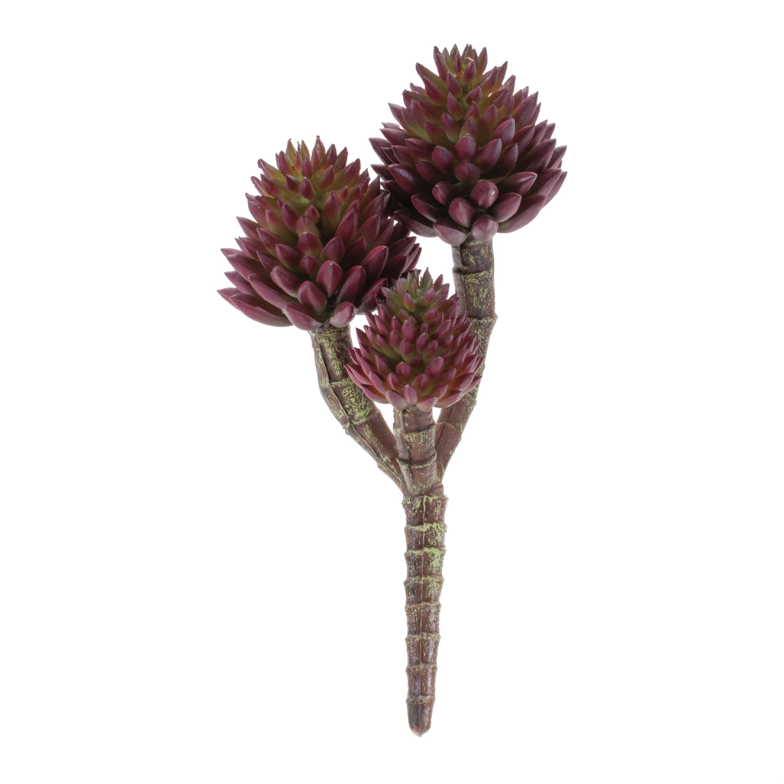 Succulent 7.5”H