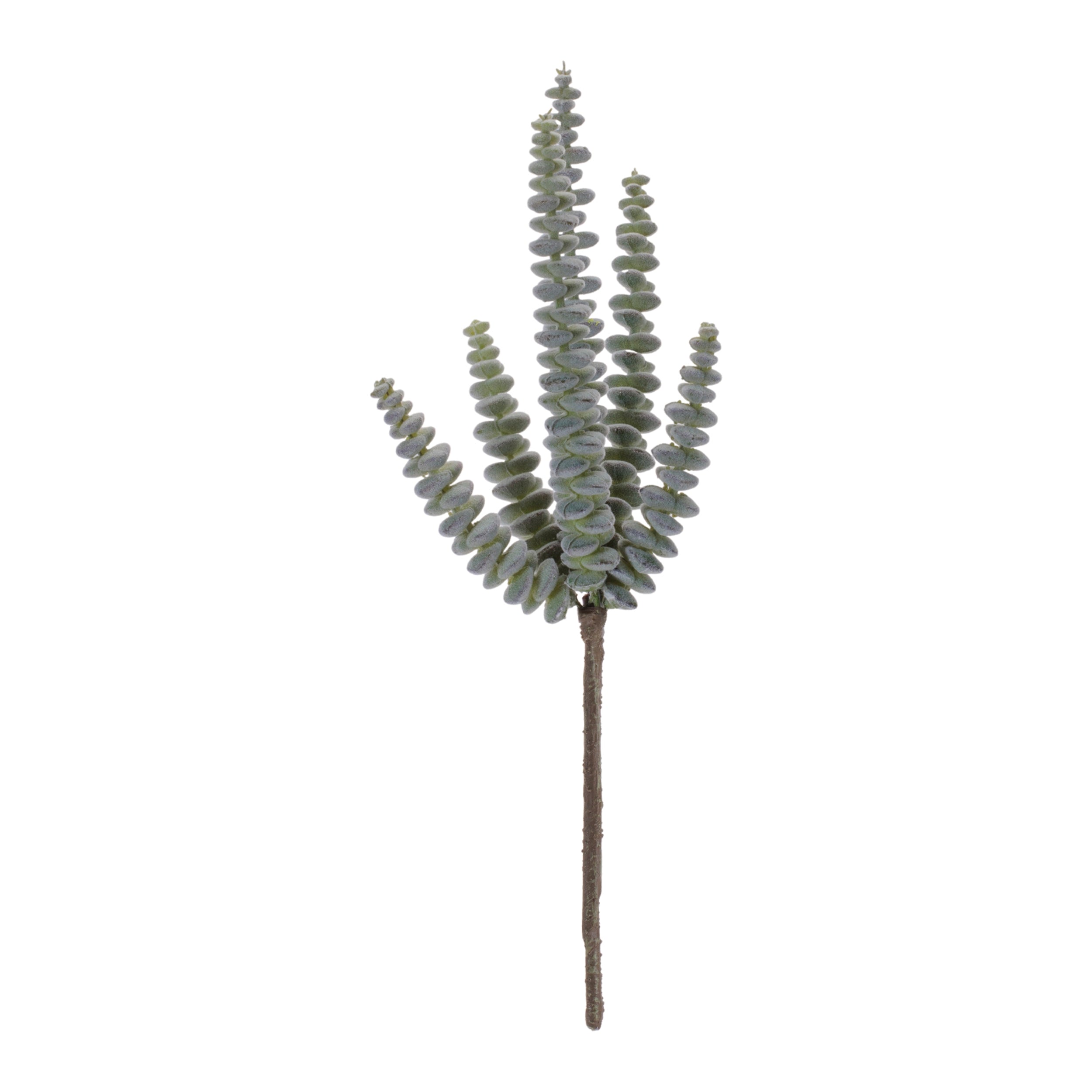 Succulent 11”H