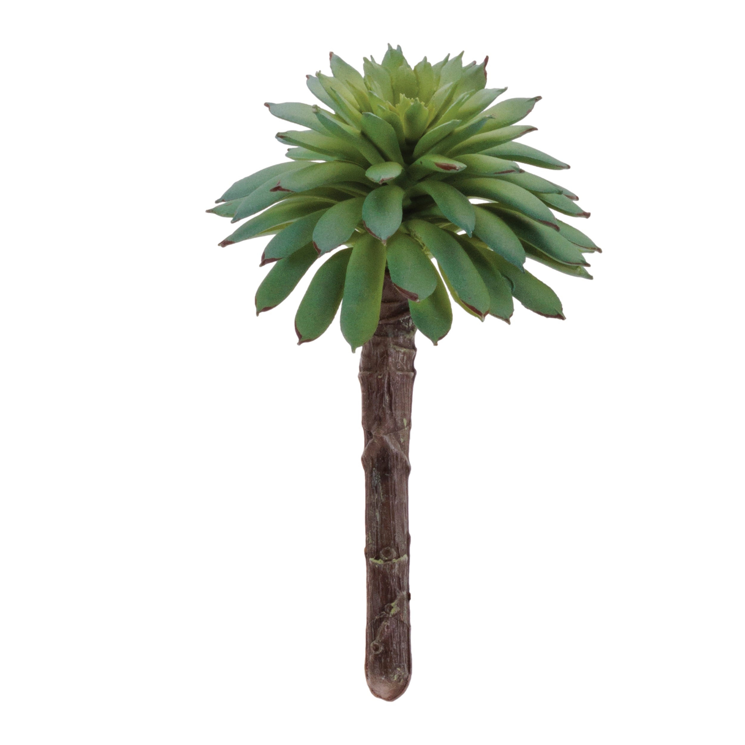 Succulent 4”H
