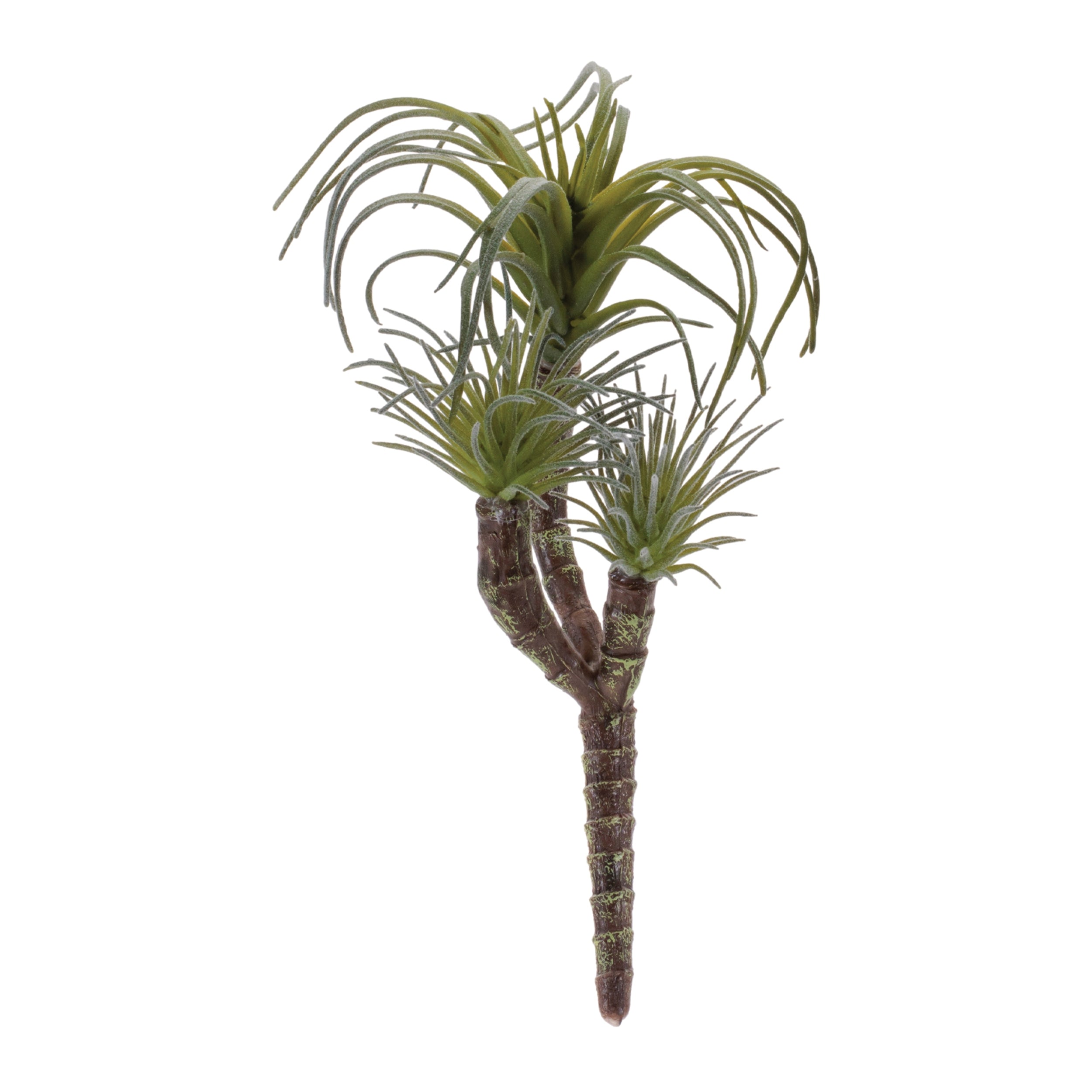 Succulent 8.25”H