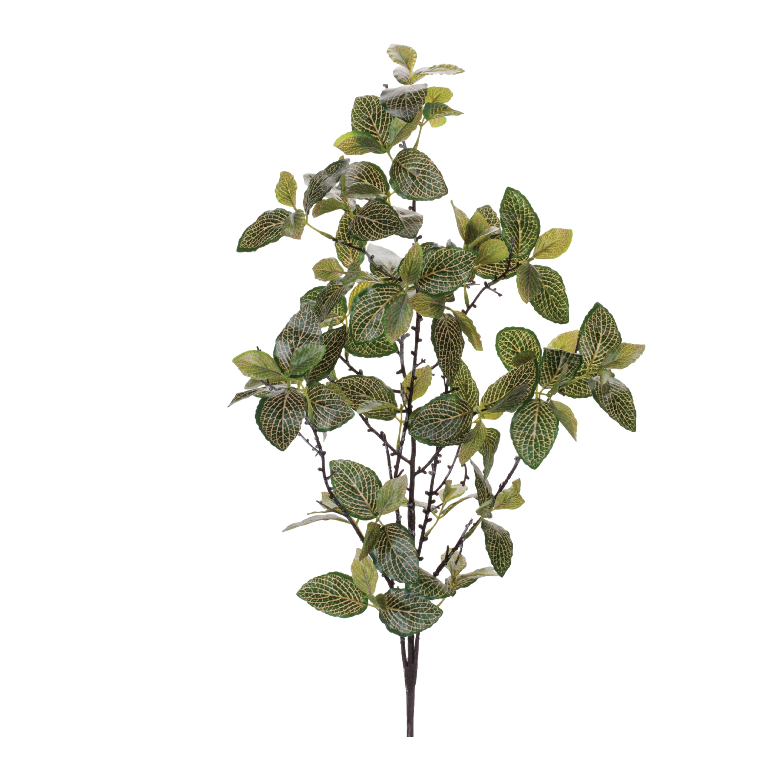 Fittonia Leaf Spray (Set of 4) 31"H Polyester