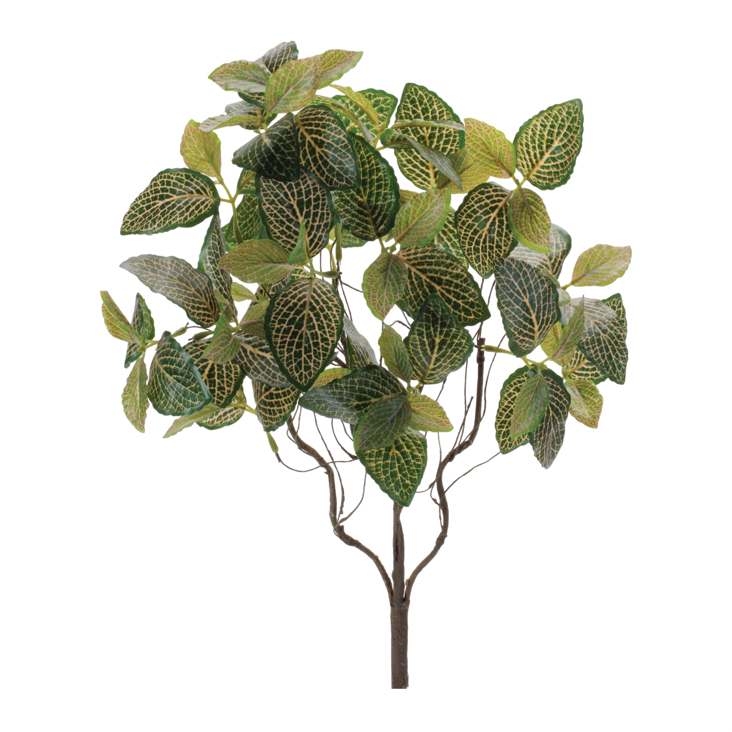 Fittonia Leaf Bush 19”H Polyester