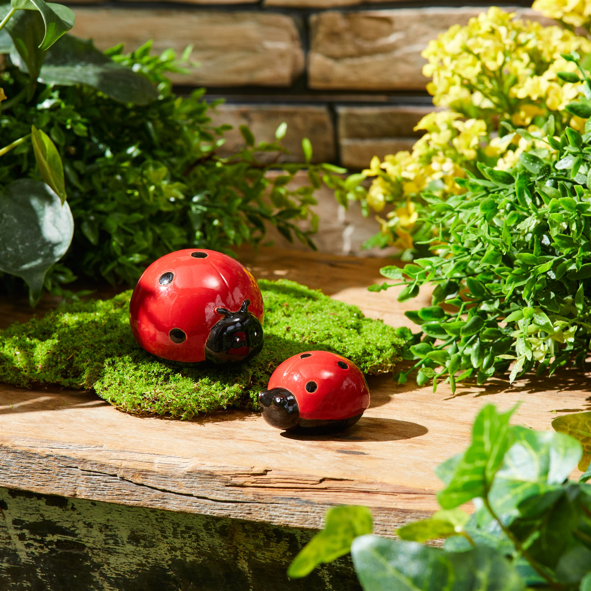 Lady Bug (Set of 24)