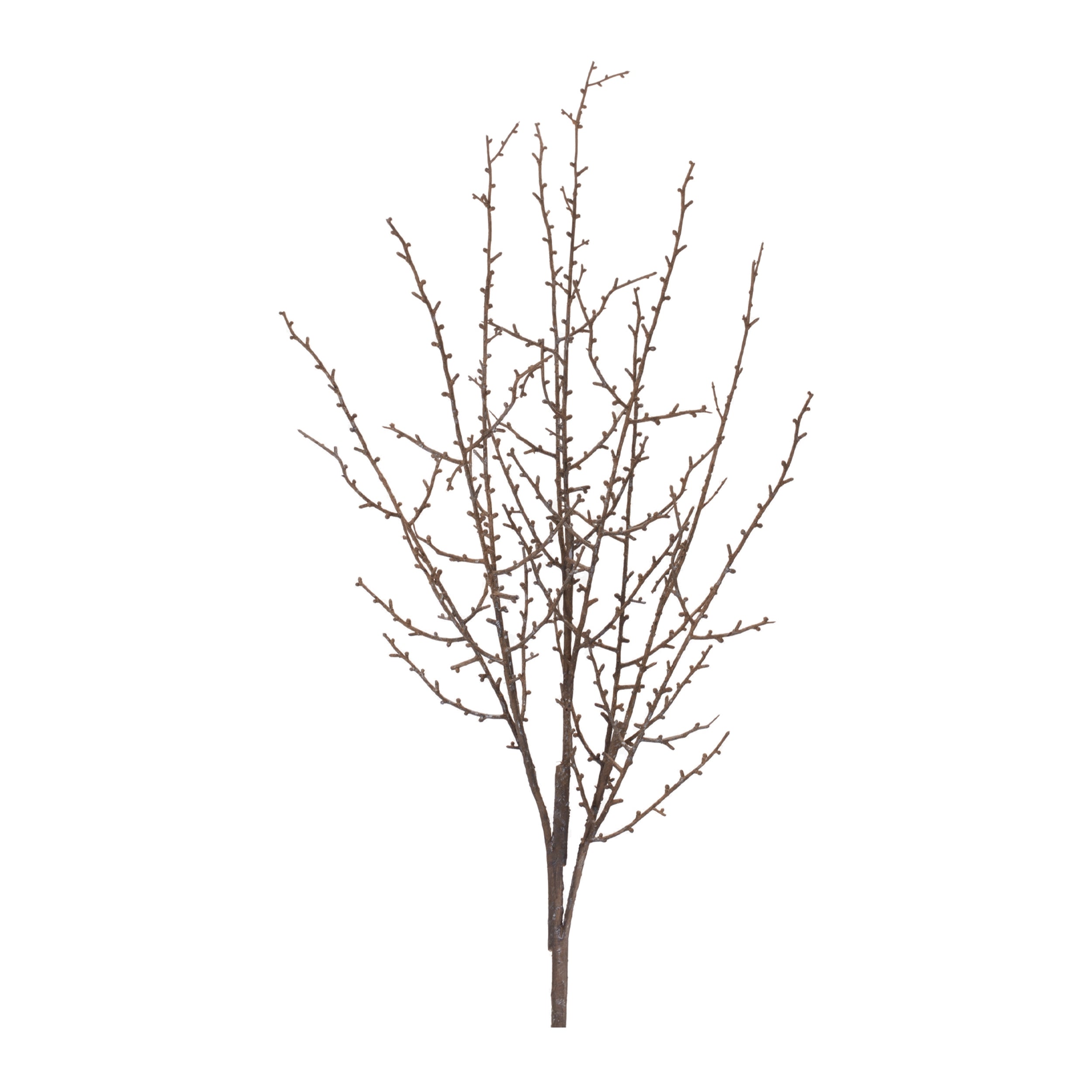 Birch Branch 41”H