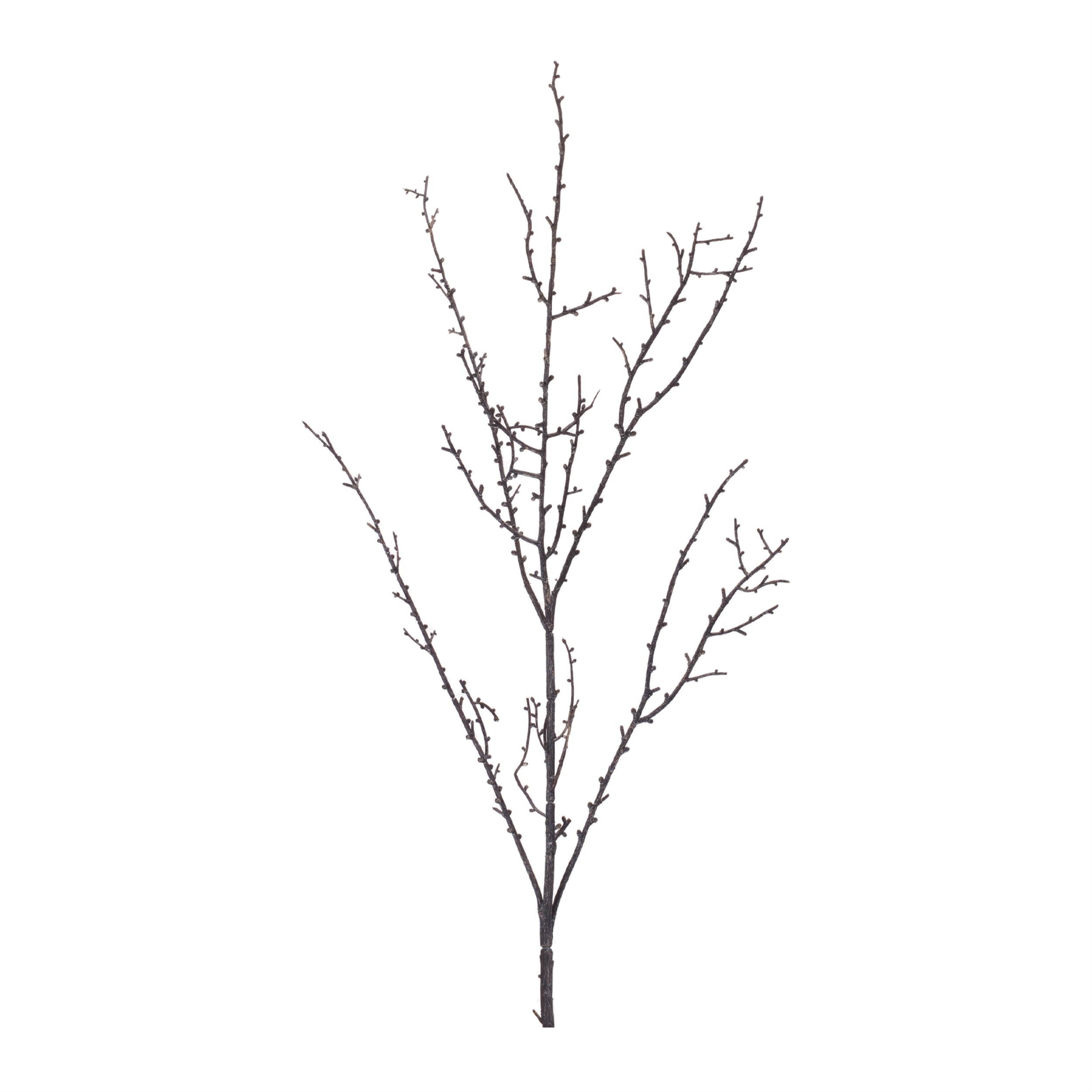 Birch Branch 37”H