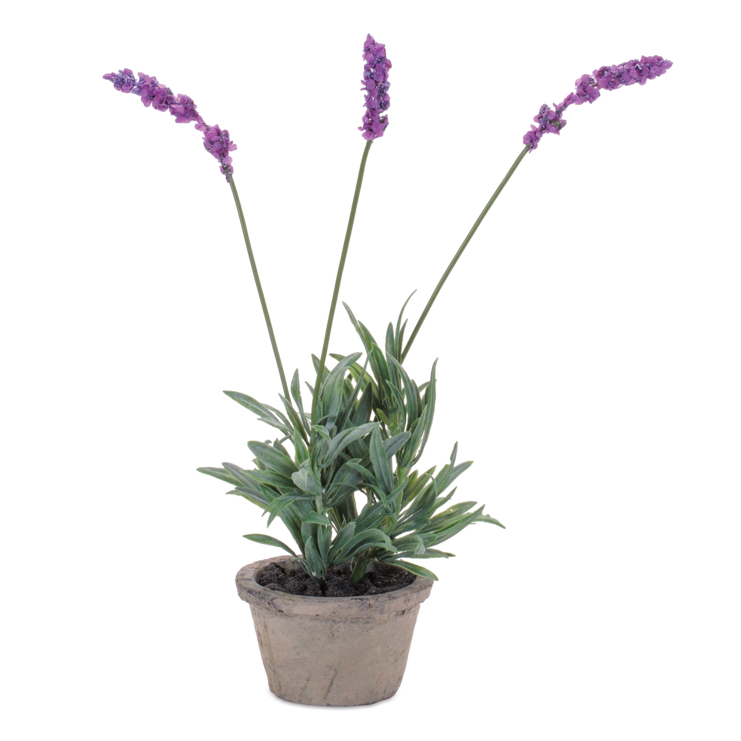Potted Lavender 14.5”H Polyester/Cement