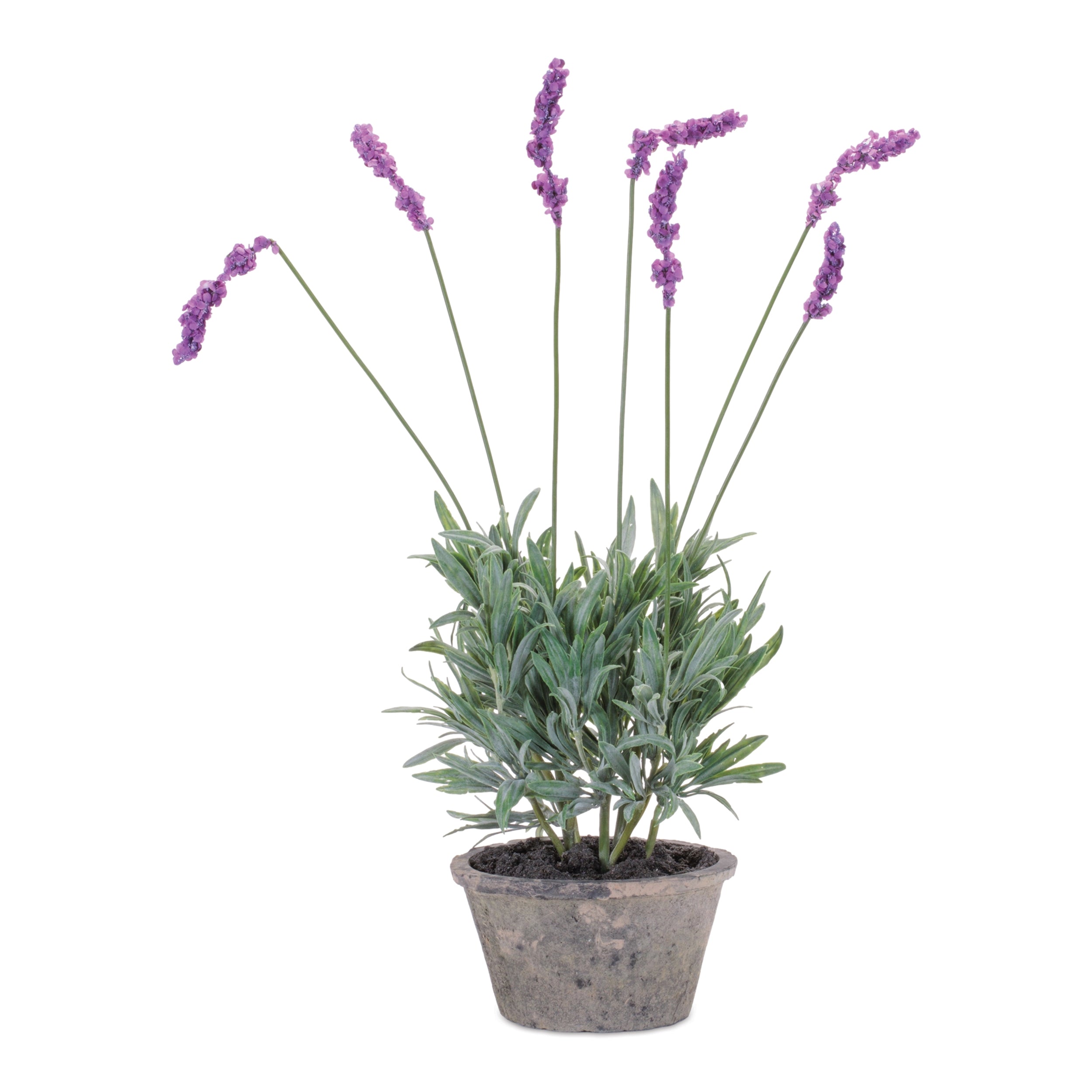 Potted Lavender 20”H Polyester/Cement