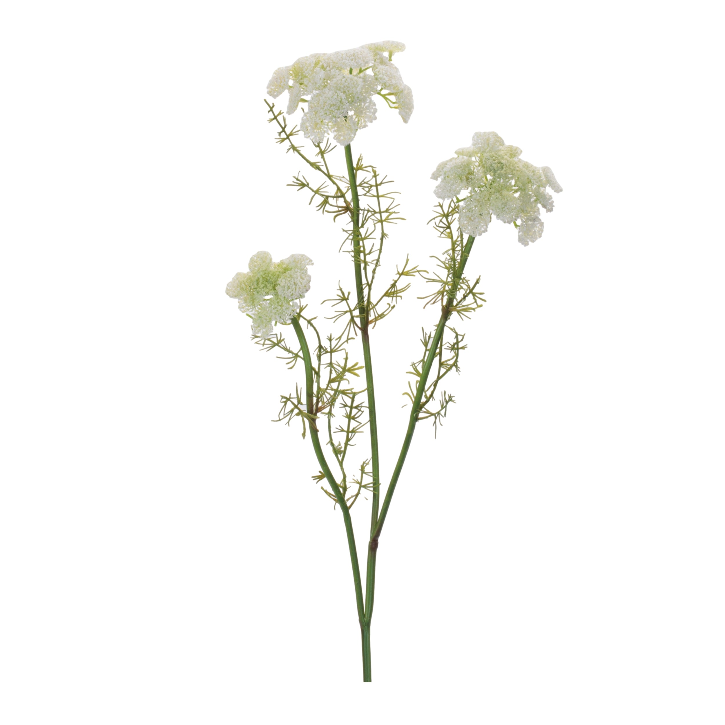 Queen Anne's Lace Spray 29”H