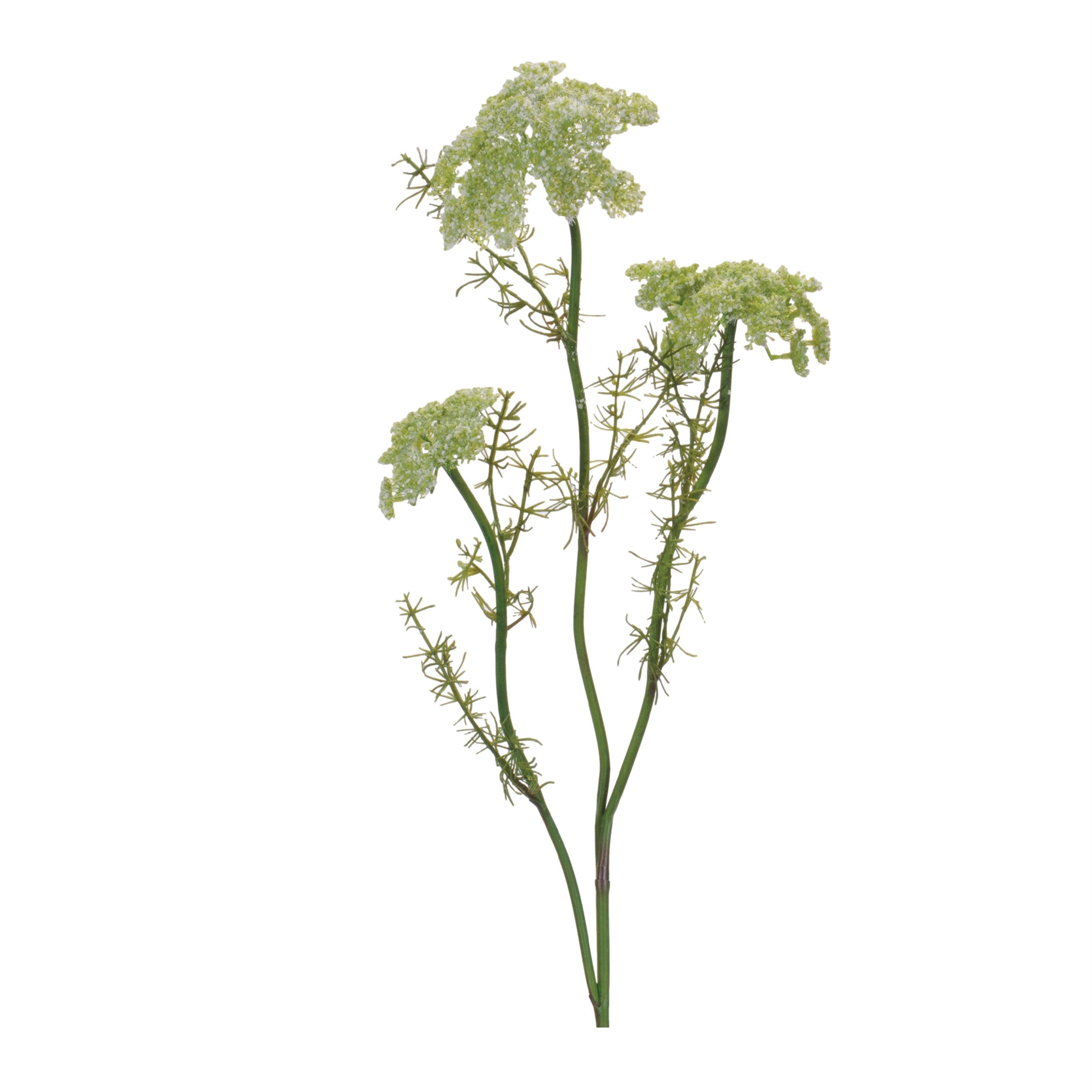 Queen Anne's Lace Spray 29”H
