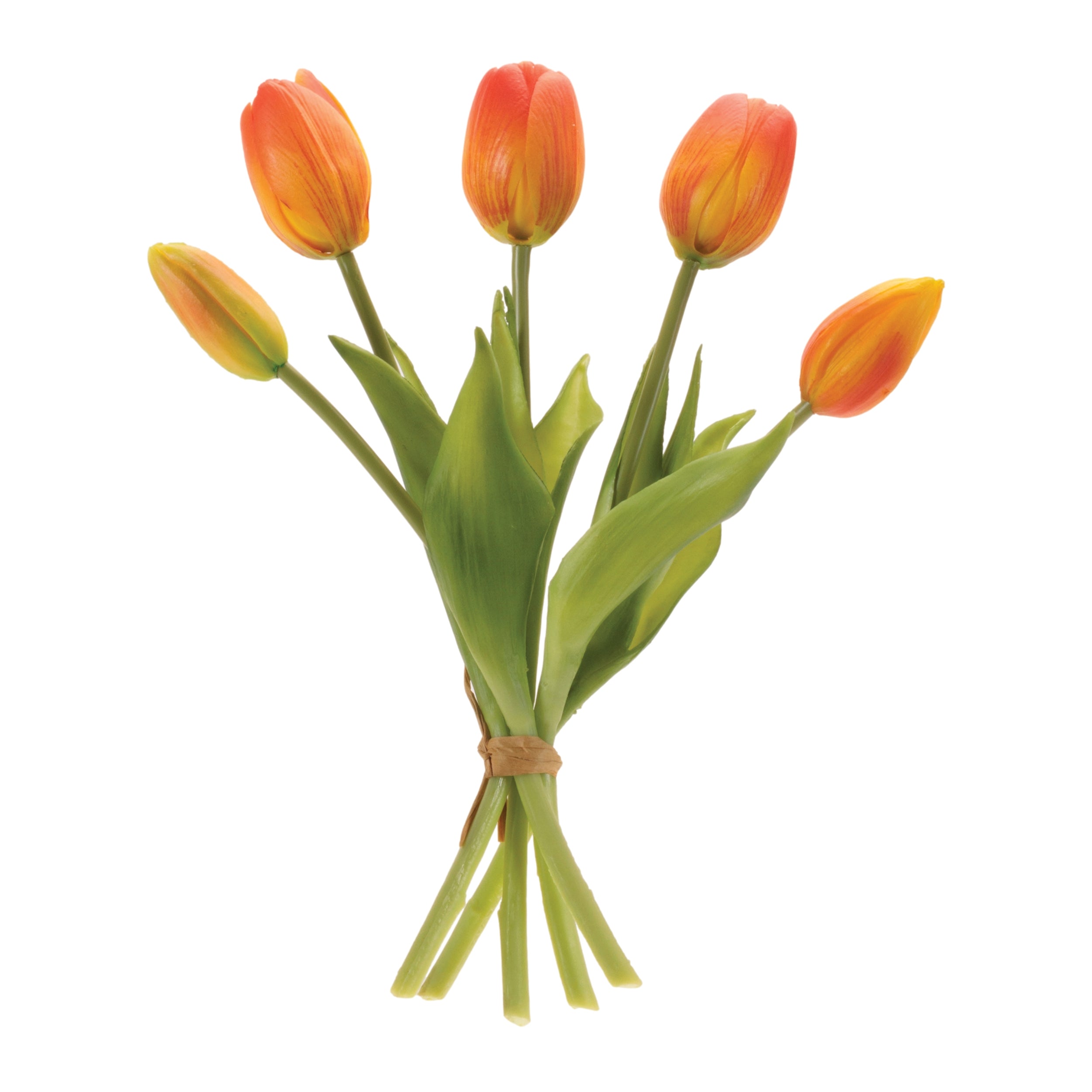 Tulip Bundle 10”H