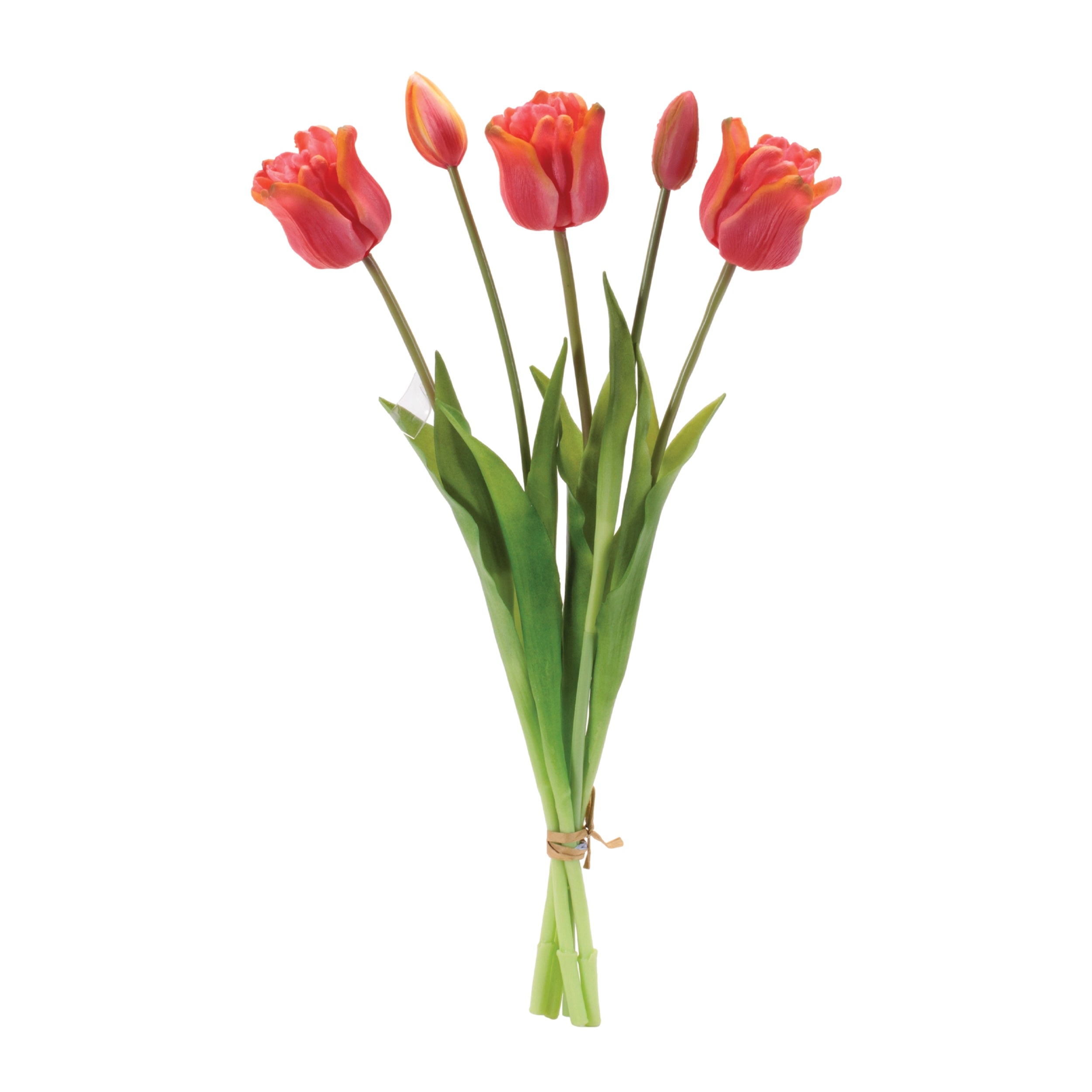 Tulip Bundle 18.5”H