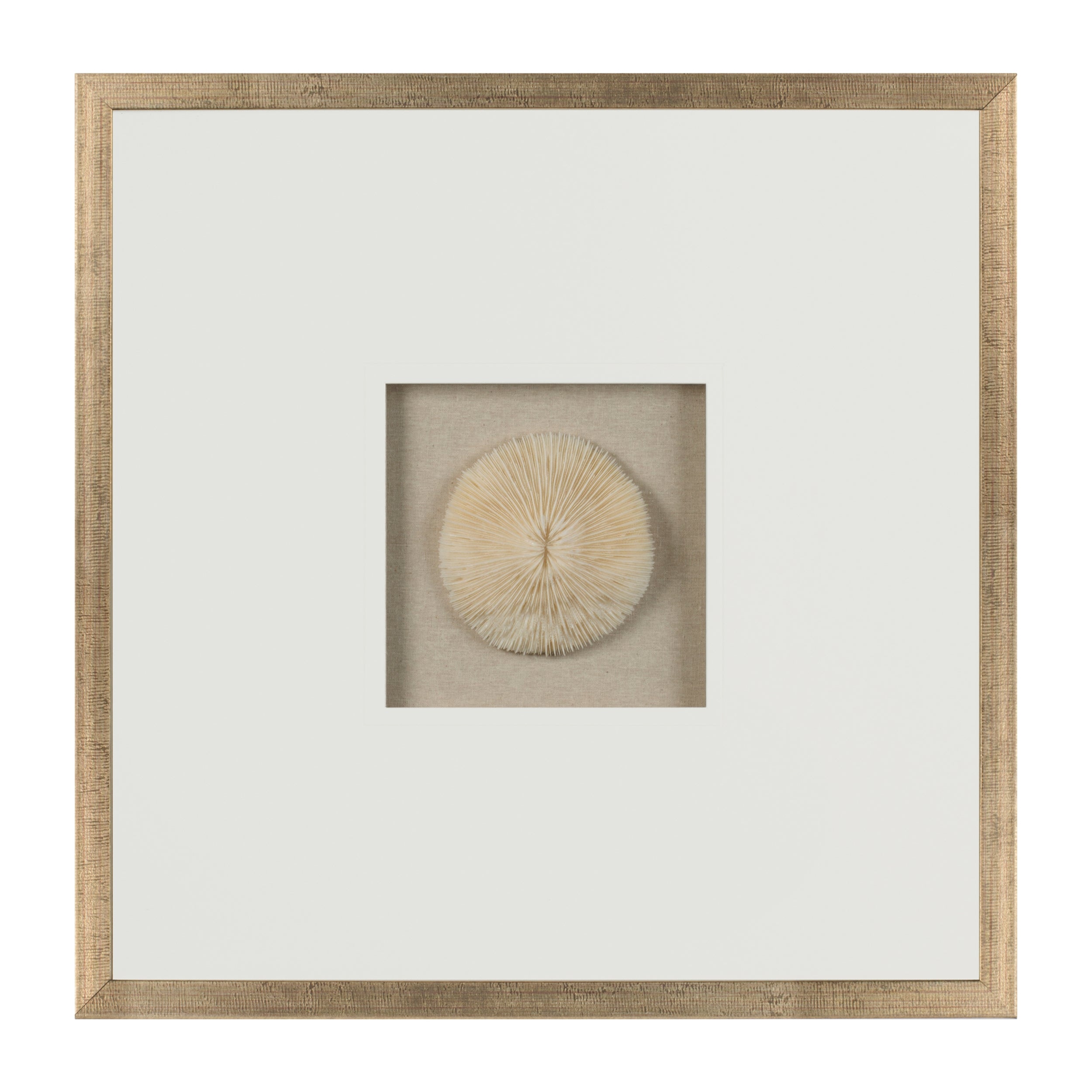 Shadow Box 20”SQ Paper/Wood/Glass
