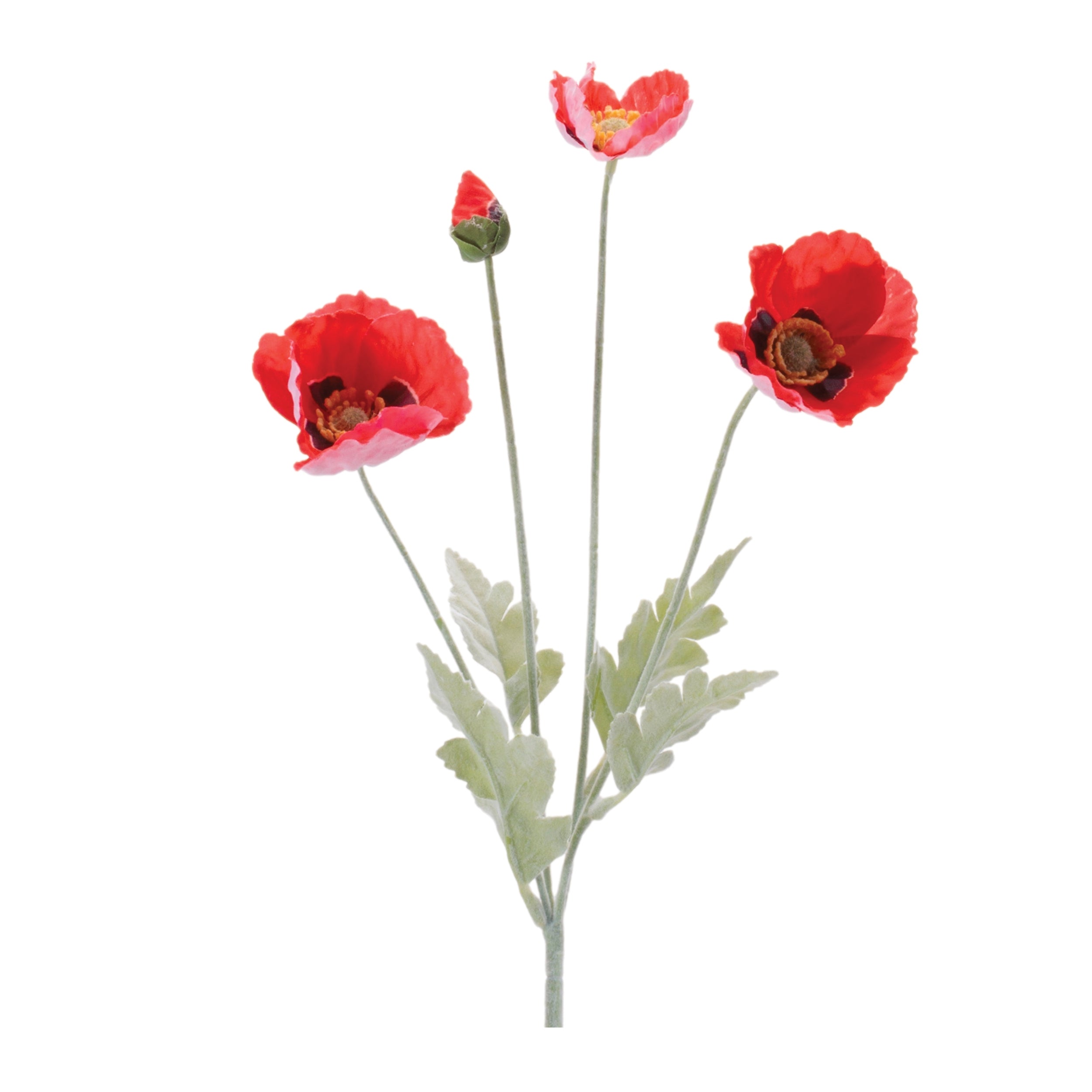 Poppy Spray 25”H Fabric