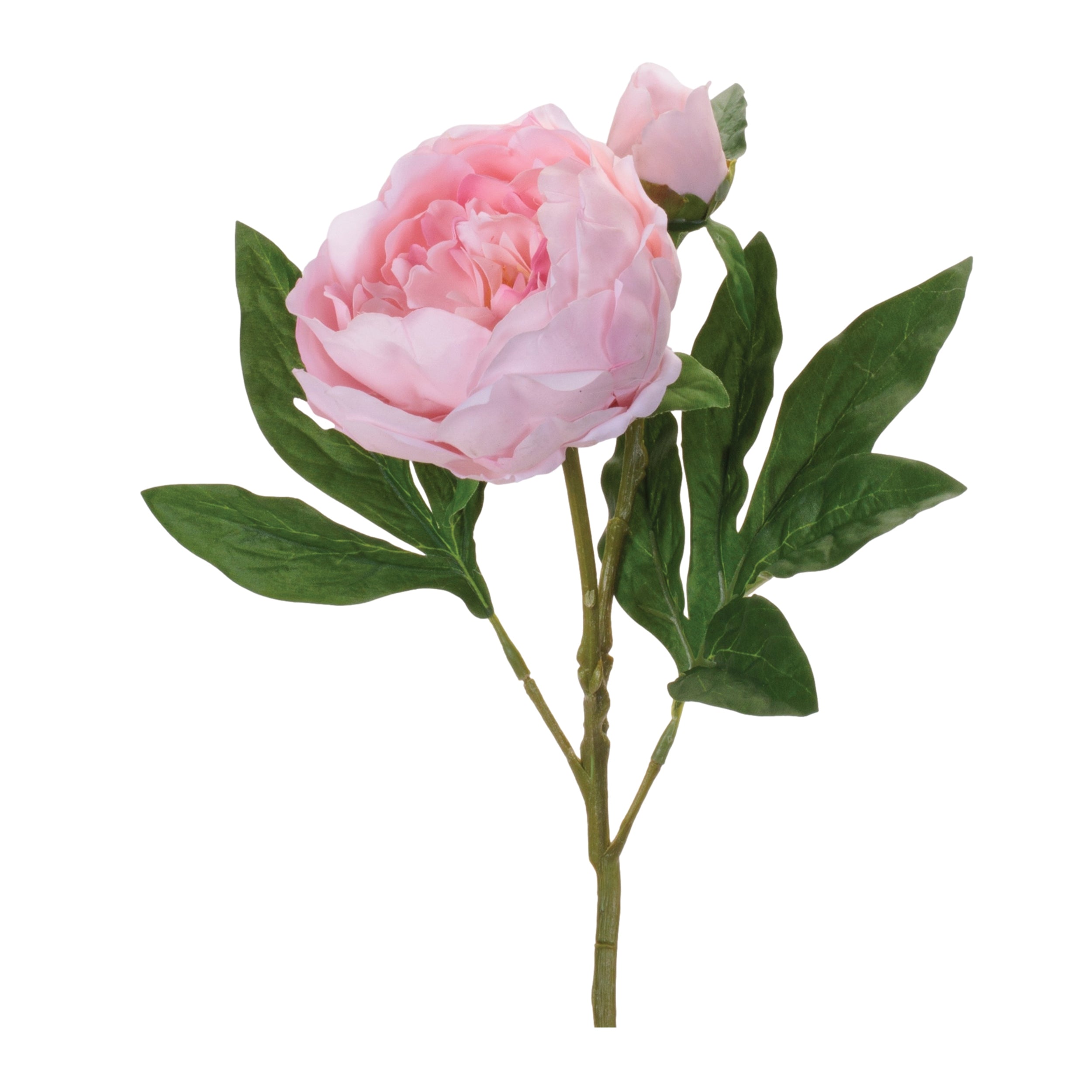 Peony Spray 24”H Fabric