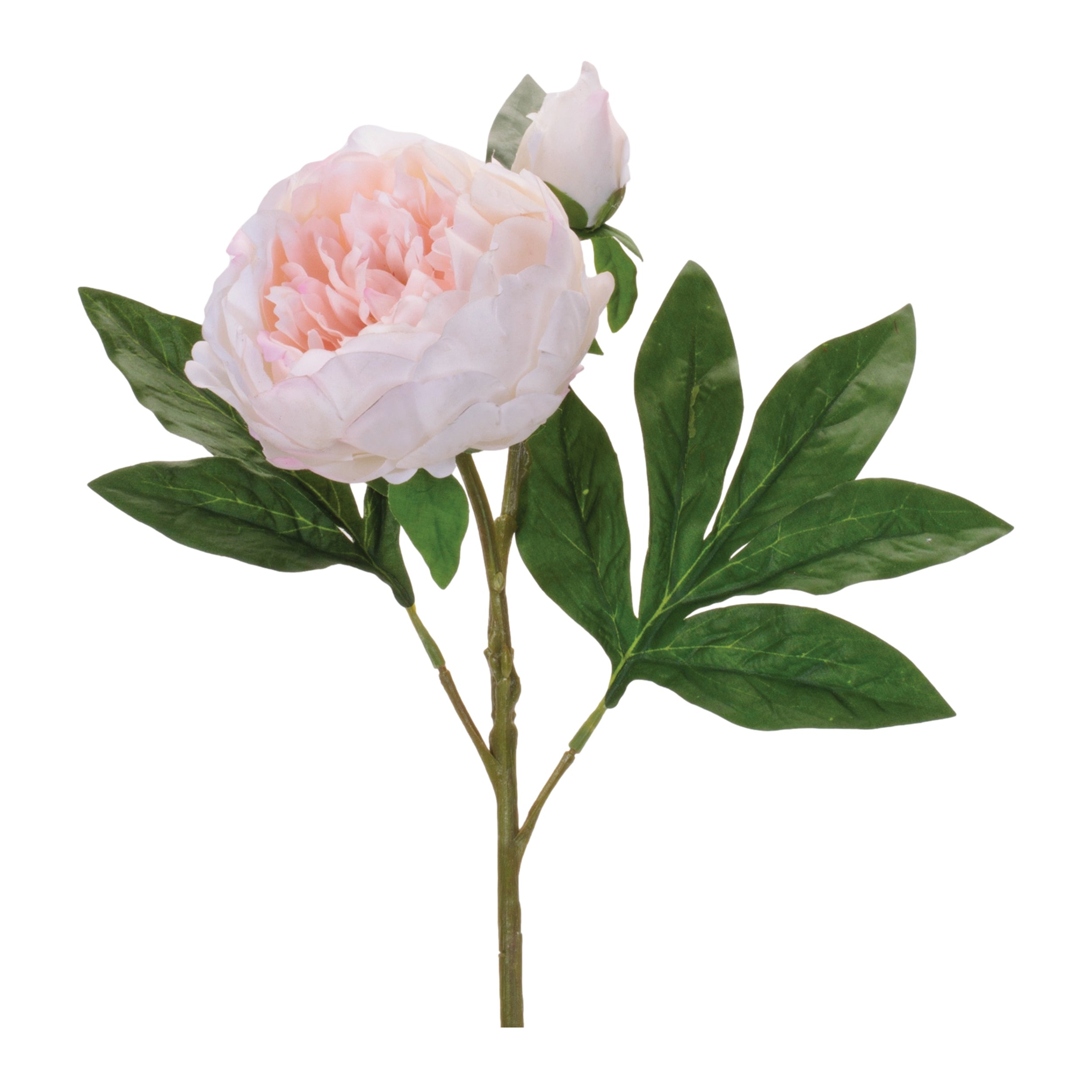 Peony Spray 24”H Fabric