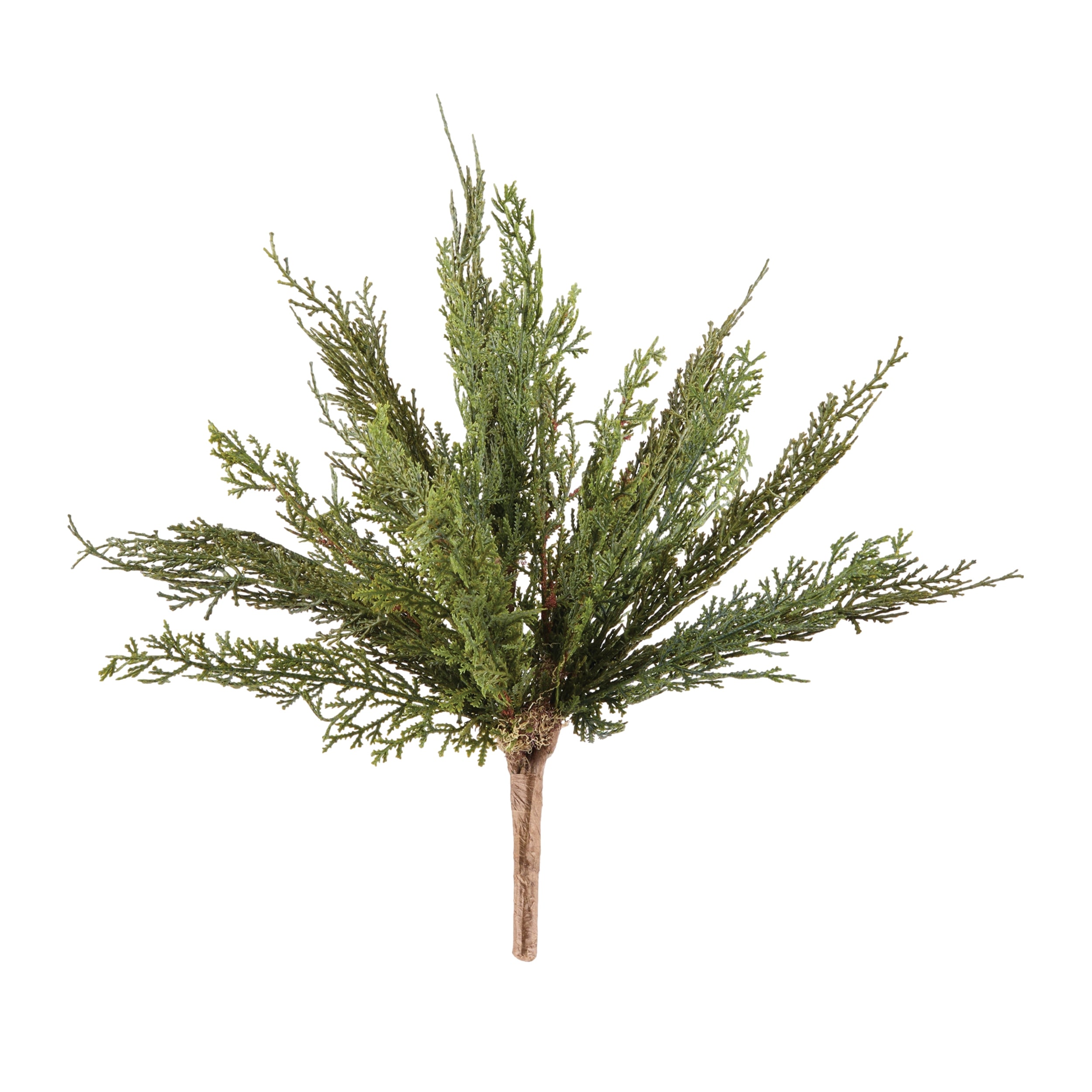 Pine Bush 16”H