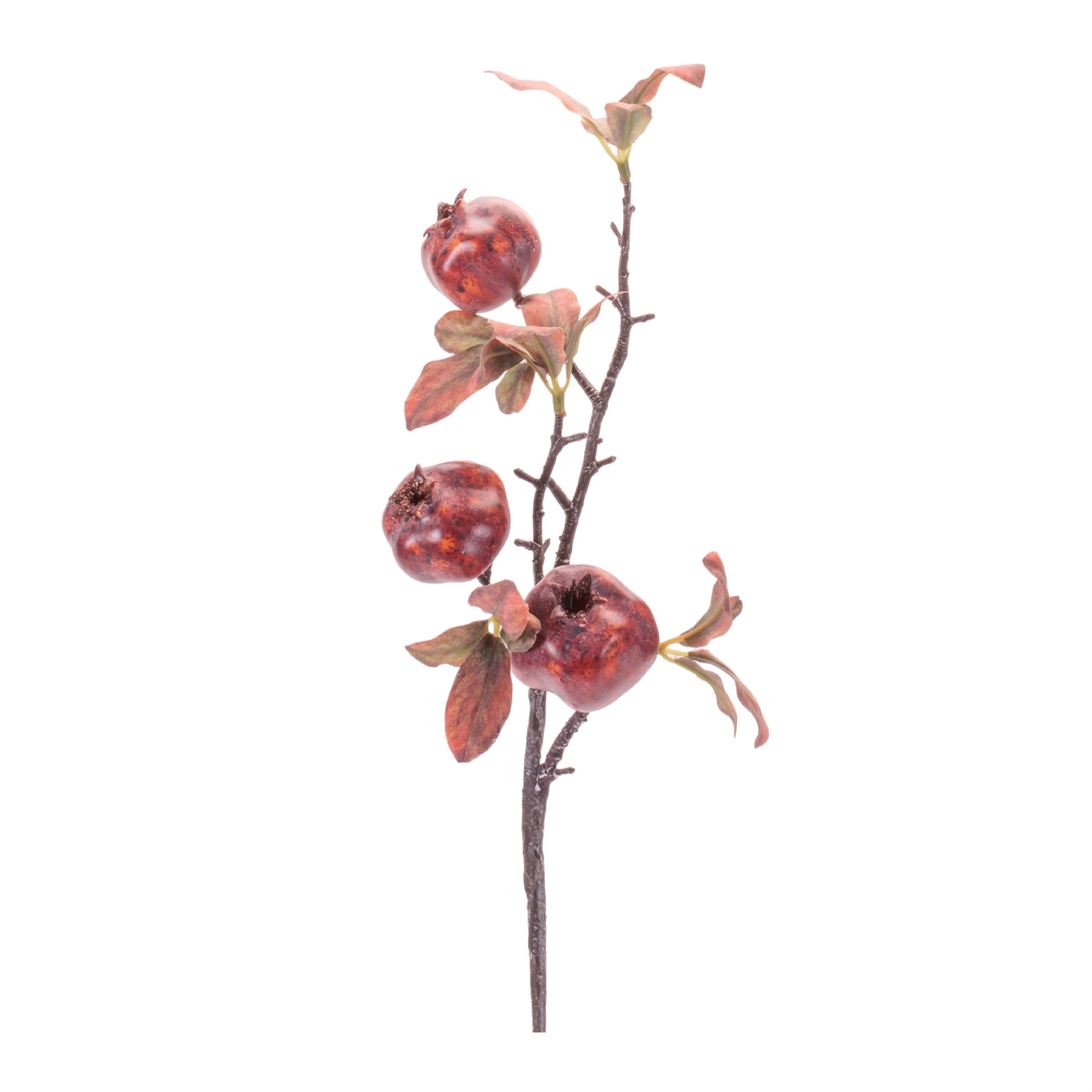 Pomegranate Branch 22”H Foam/Polyester