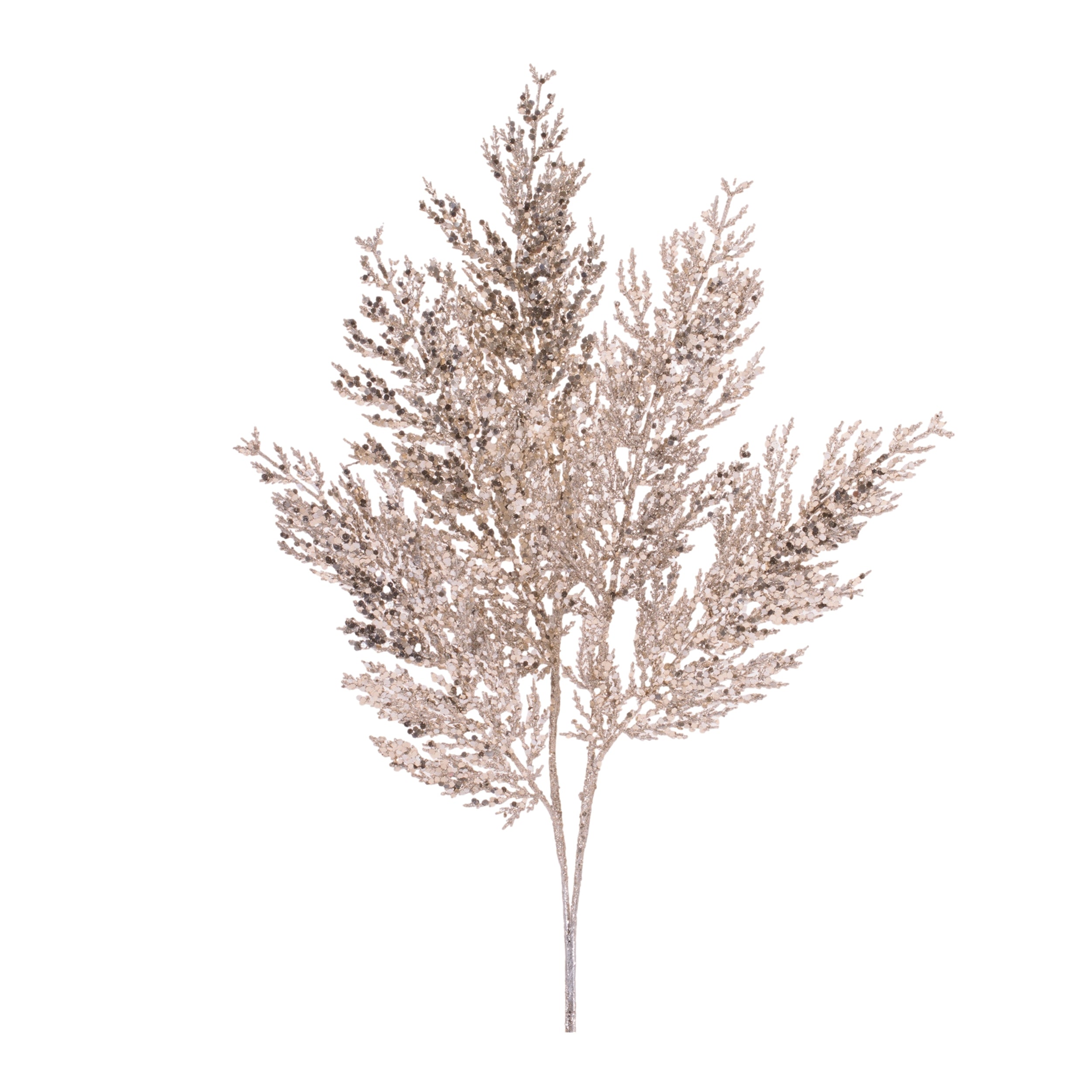 Cedar Spray 22”H
