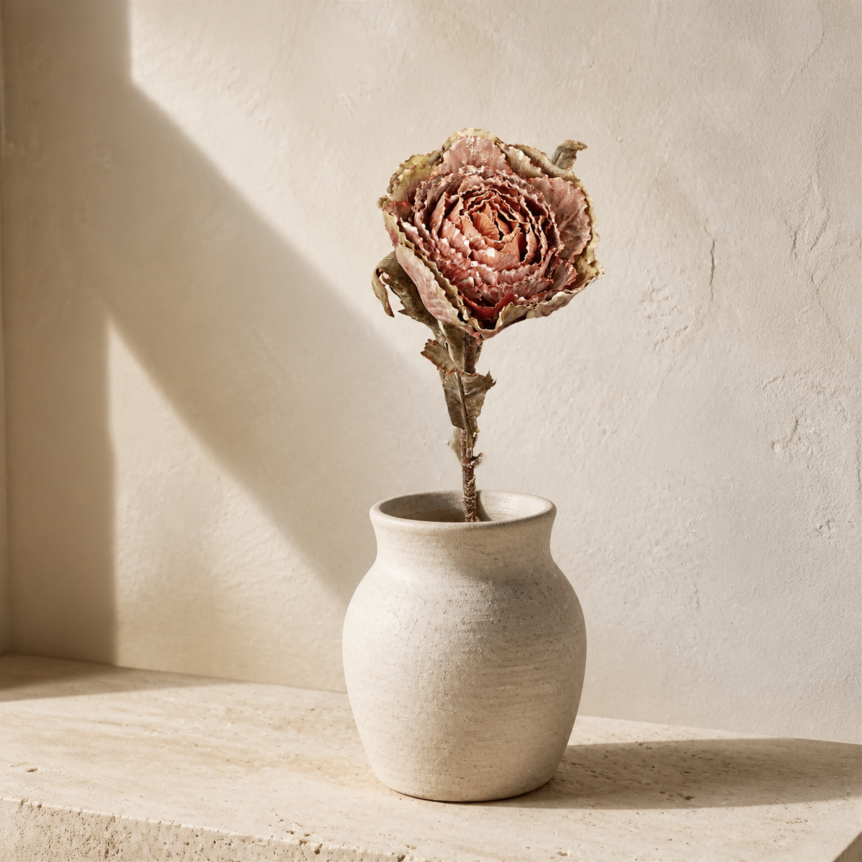 Autumn Cabbage Nutmeg Stem