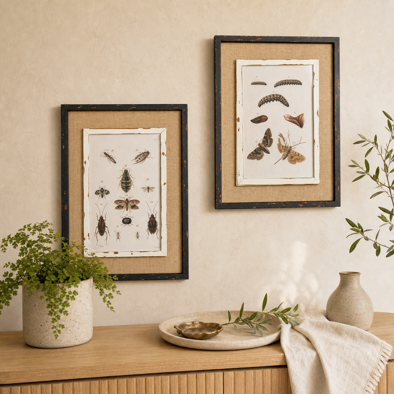 Insect Natural History Framed Prints (S/2)
