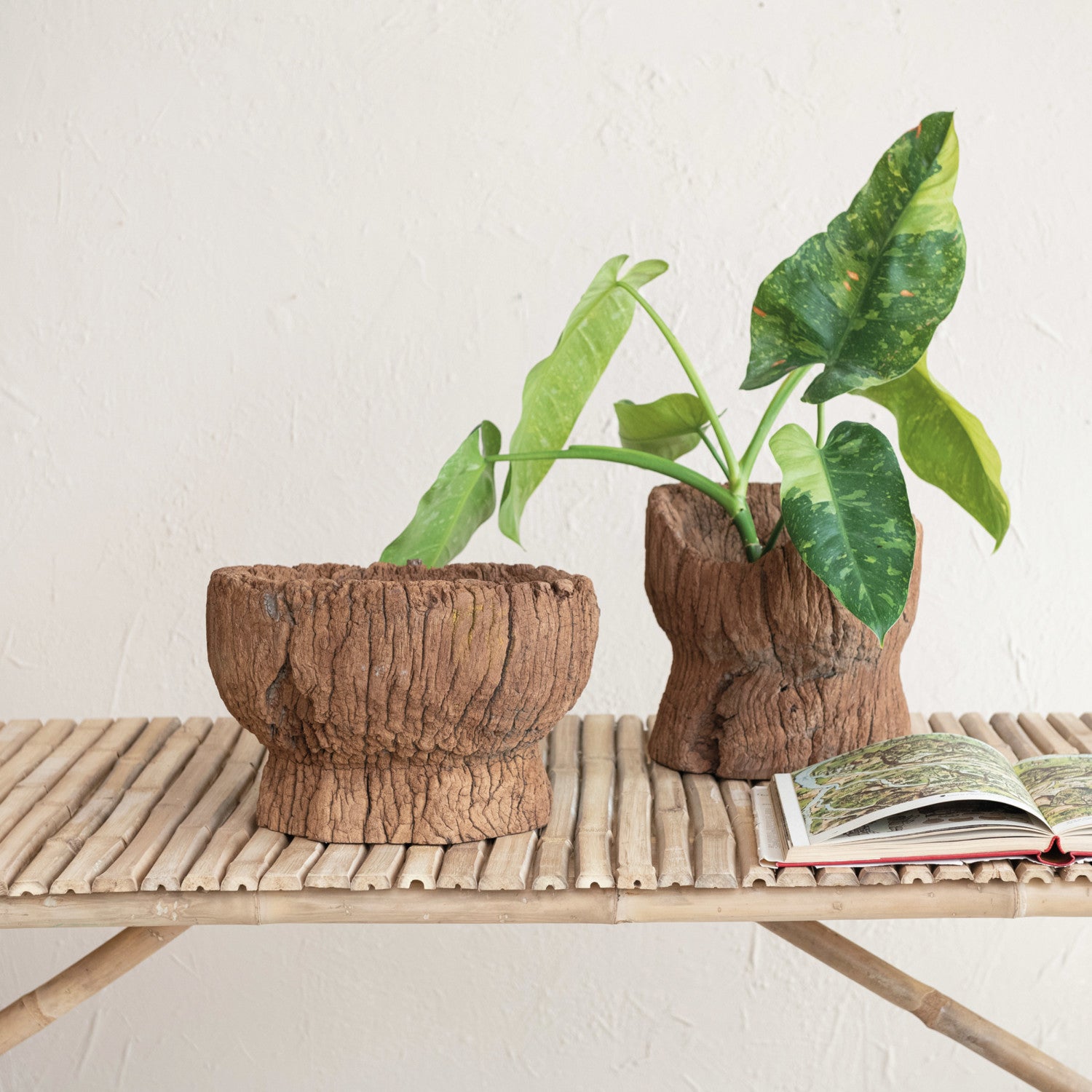 FOUND! Carved Reclaimed Planter