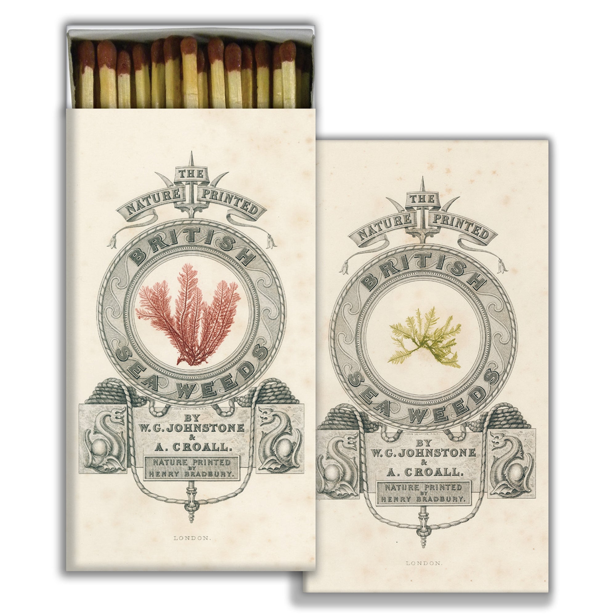 Matches - British Sea Weeds - Brown
