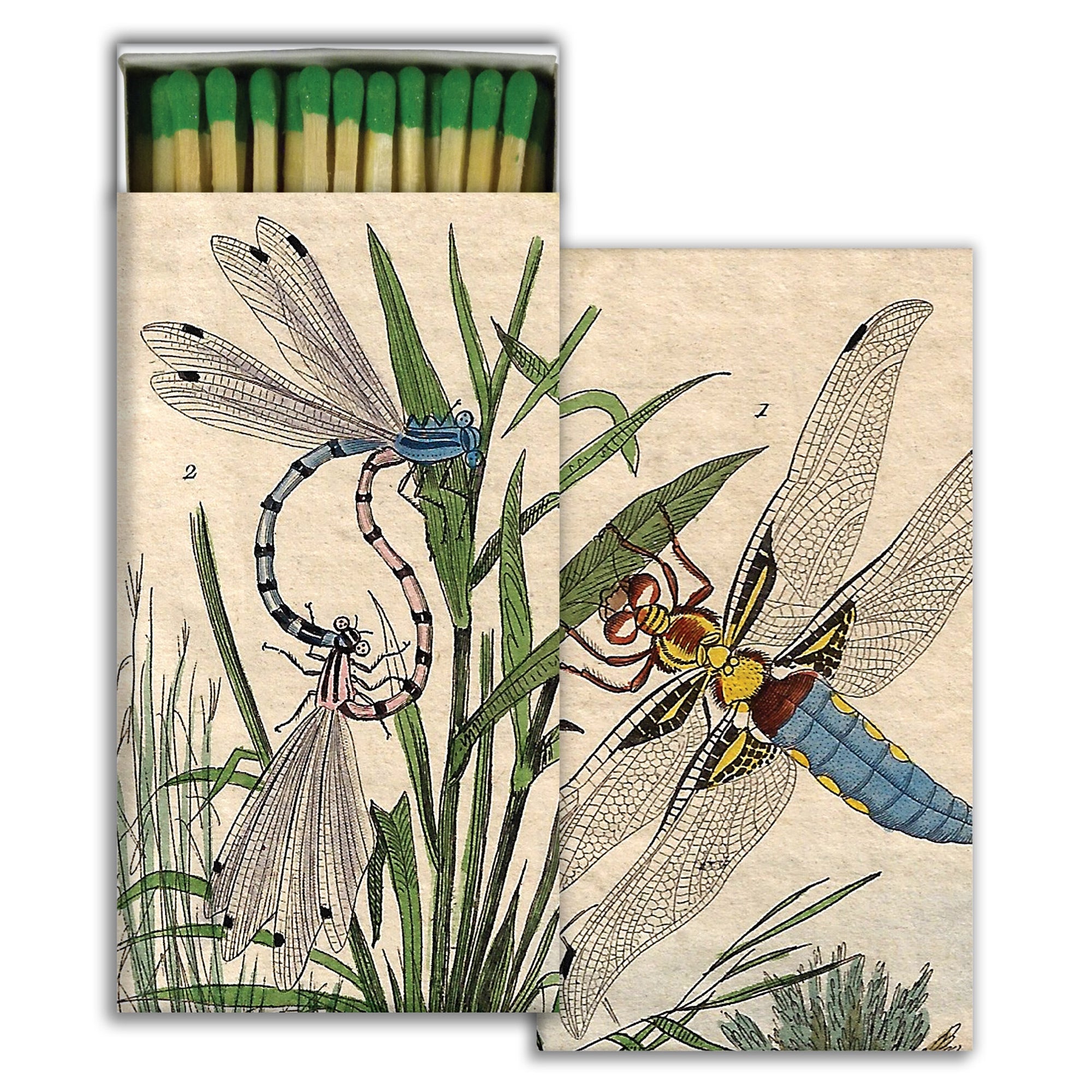 Matches - Dragonfly