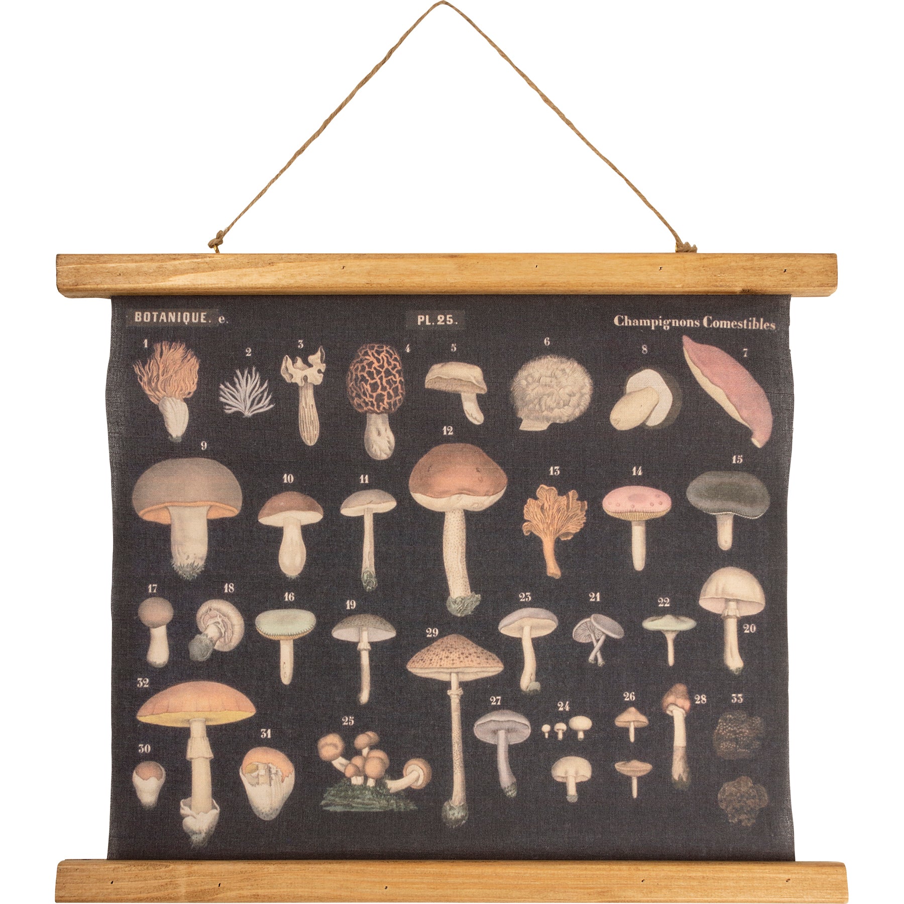 Botanical Mushroom Scroll