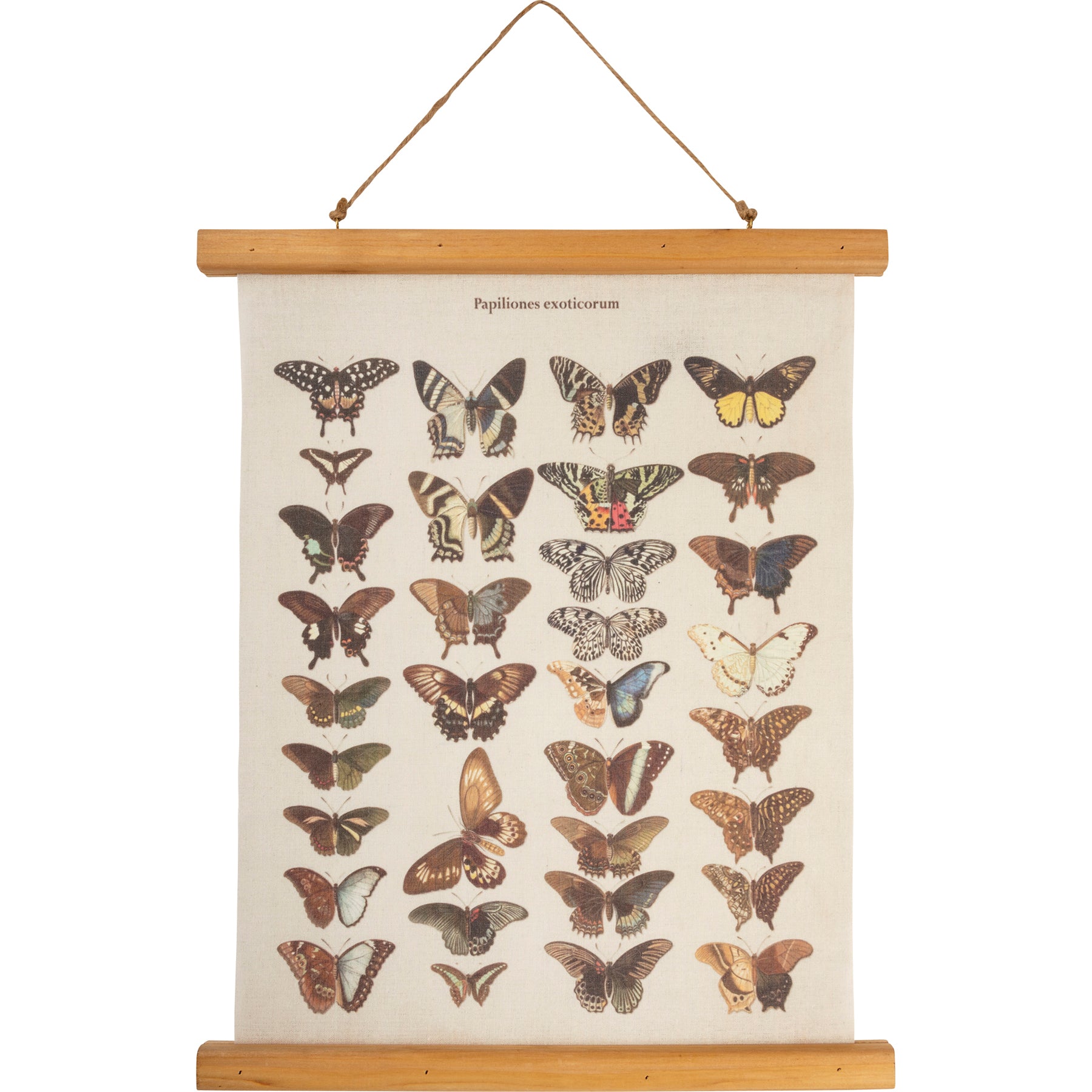 Botanical Butterfly Scroll