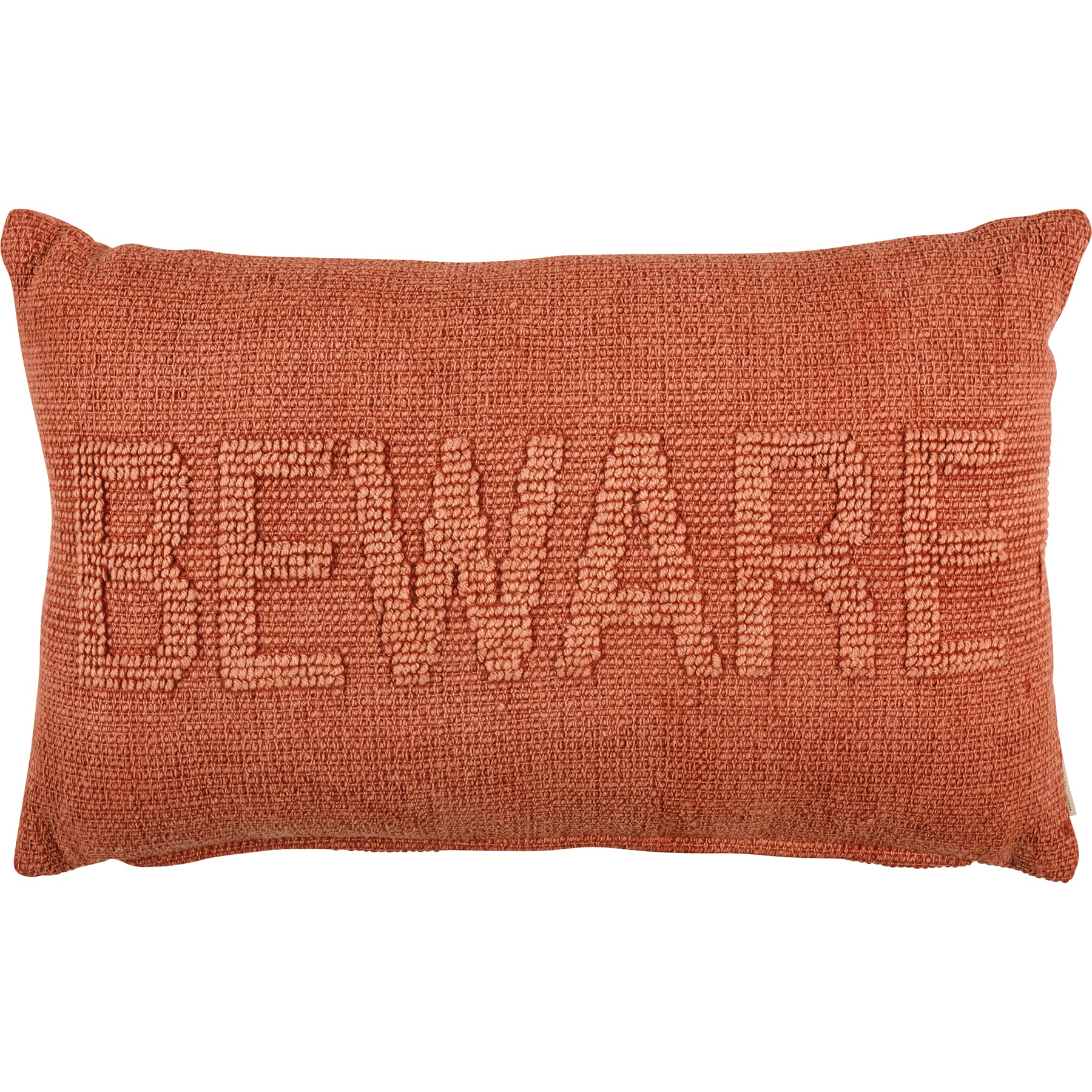 Neutral "Beware" Pilow