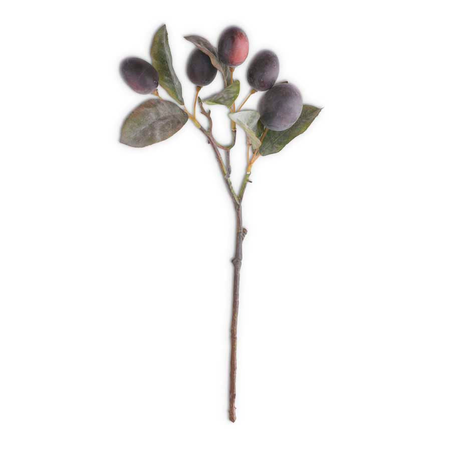 European Ceramic Jar w/ Plum Stems