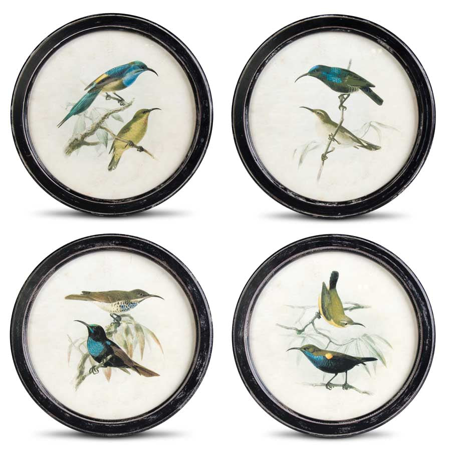 Distressed Black Bird Print Collection (S/4) (5654977314973)