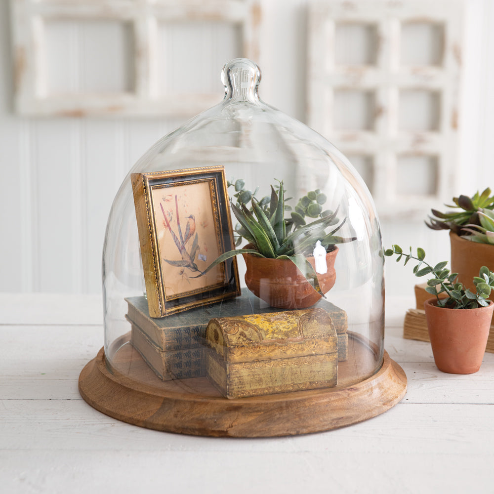 Large Glass Bell Cloche w/ Wooden Stand