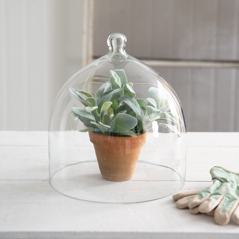 Glass Bell Shaped Cloche (L)