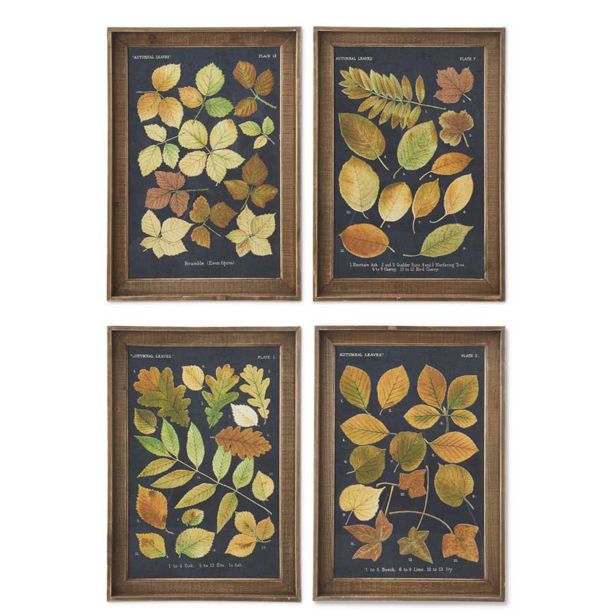 The Leaf Study Collection (S/4) (5654933209245)