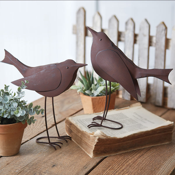 Oversized Songbirds (S/2)