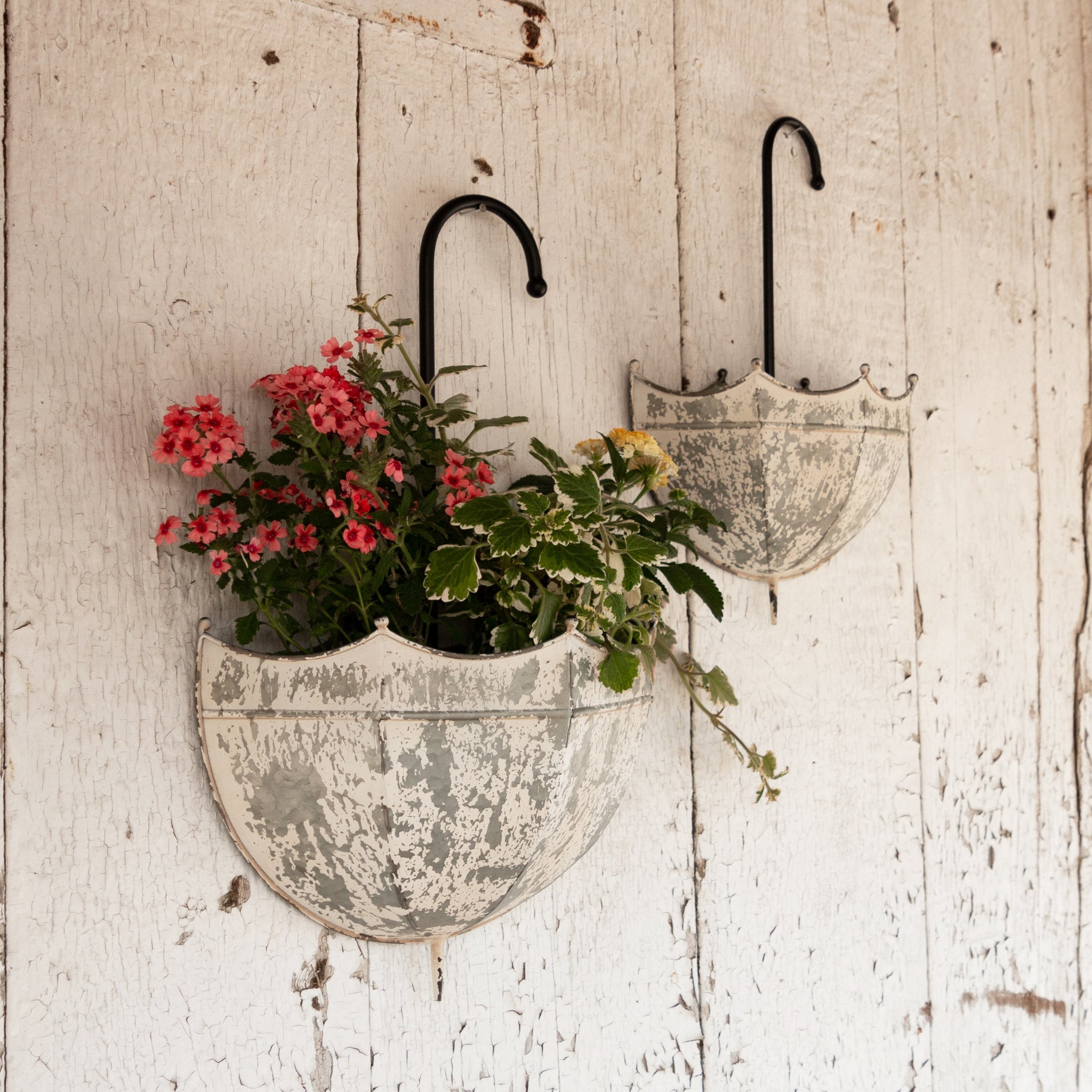 Galvanized Umbrella Wall Planter