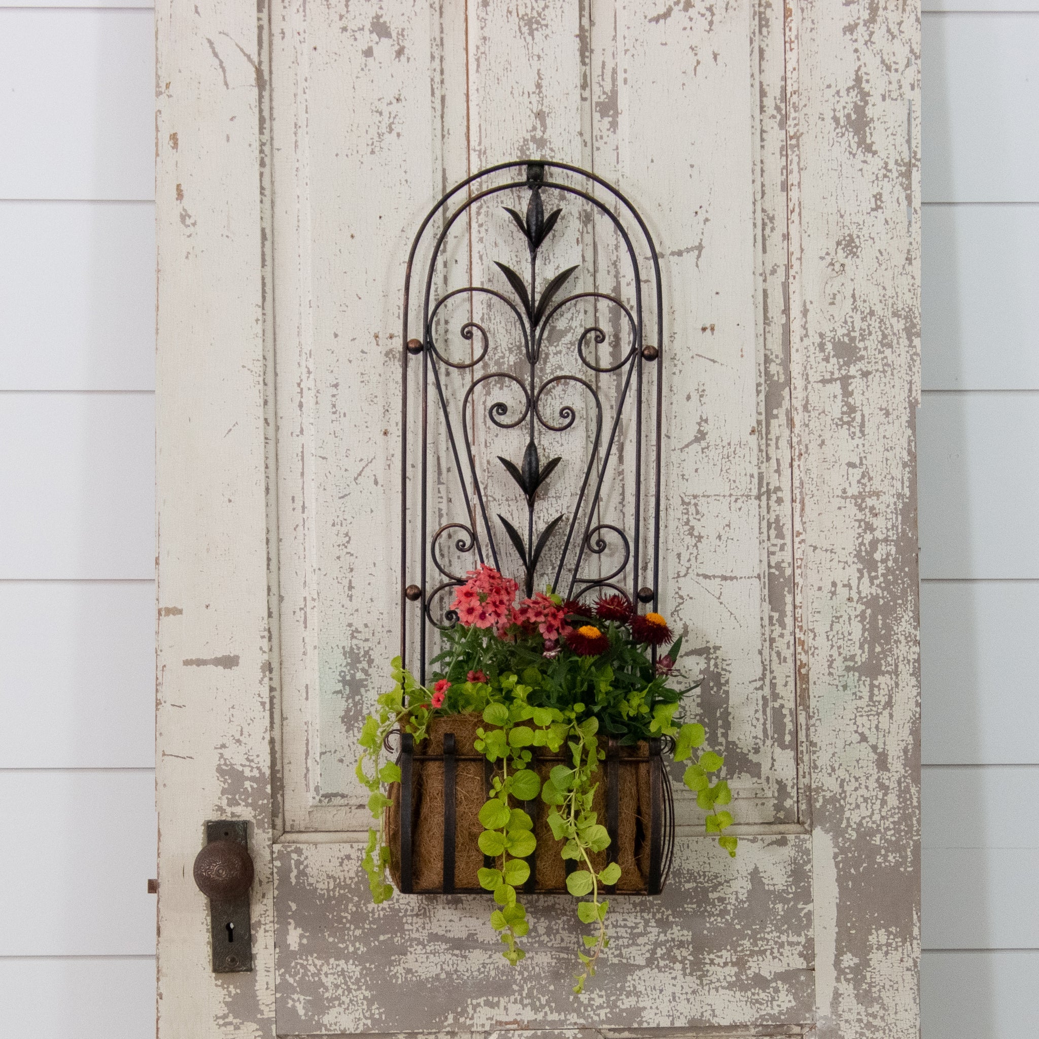 Metal Scroll Hanging Planter