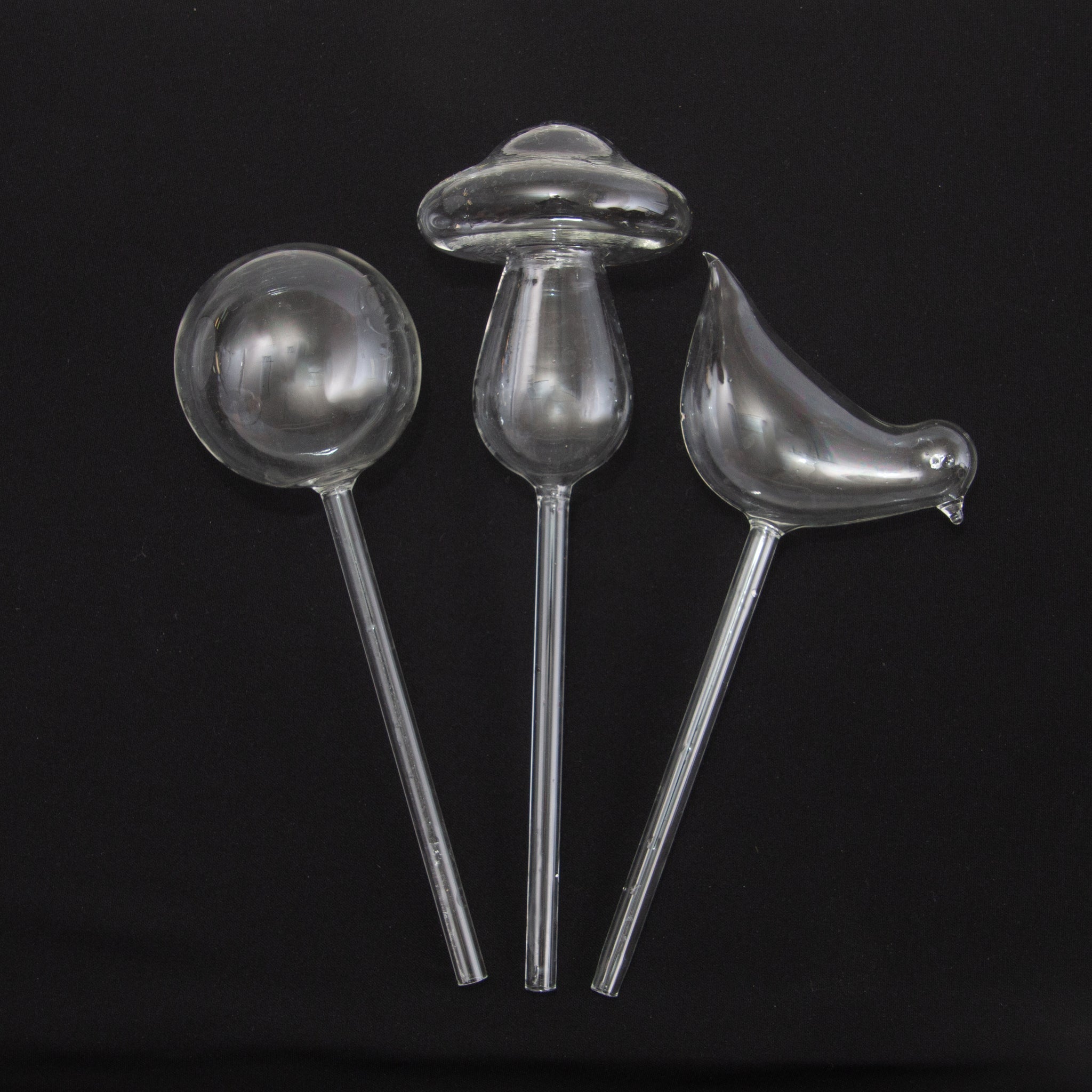 Glass Self-Watering Plant Globes With Display Box